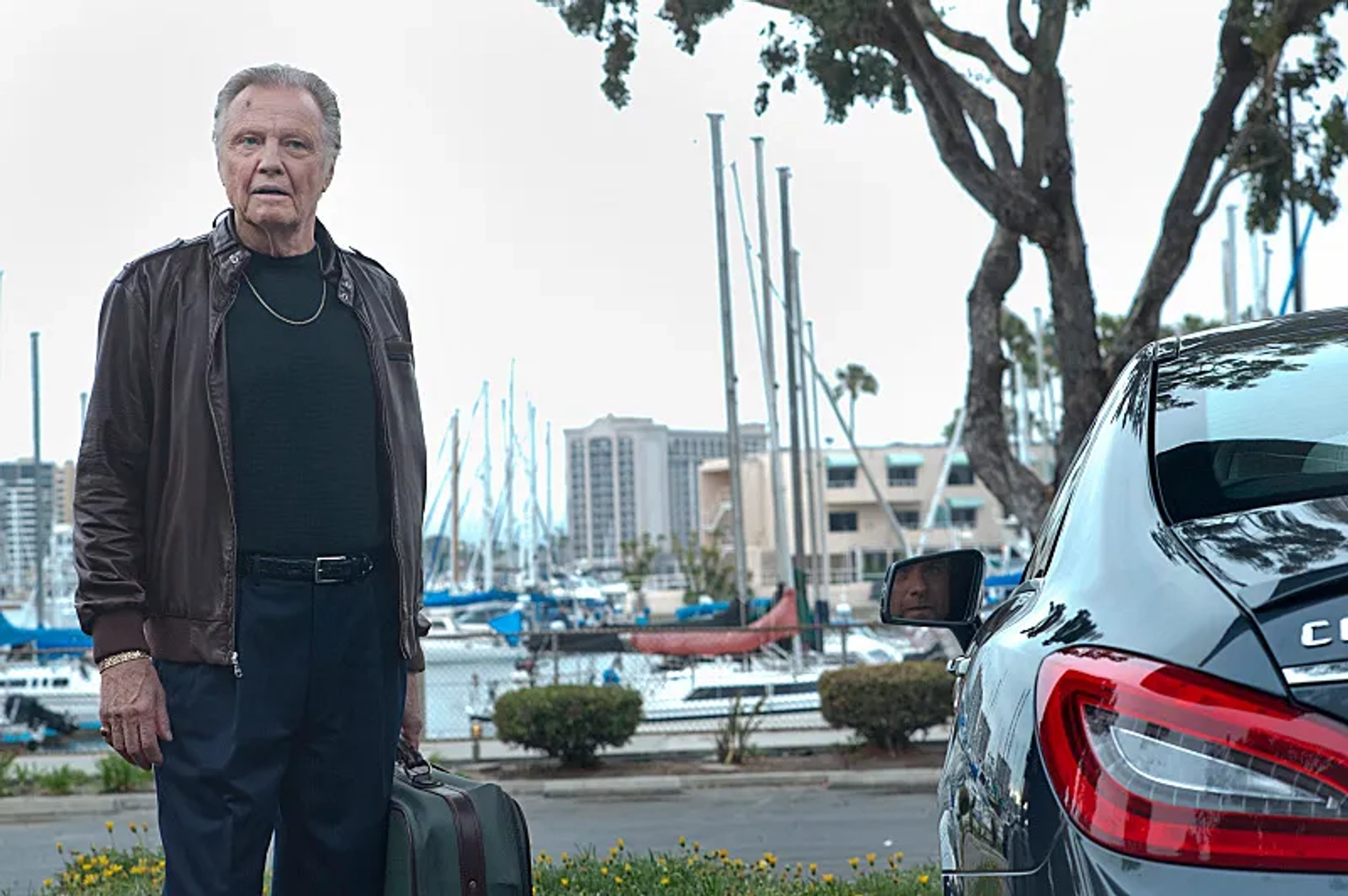 Jon Voight in Ray Donovan (2013)