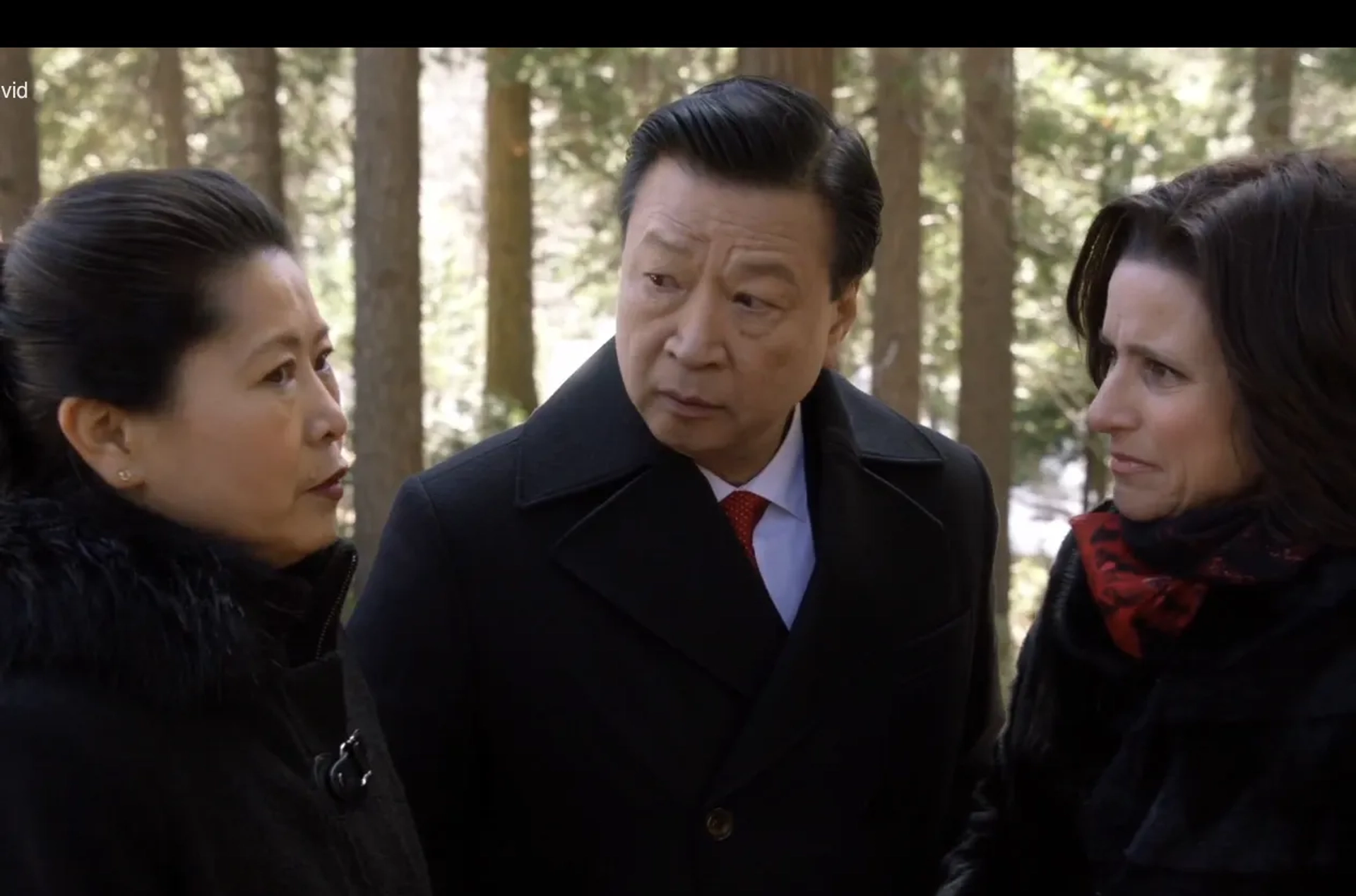 Julia Louis-Dreyfus, Tzi Ma, and Lee Chen in Veep (2012)