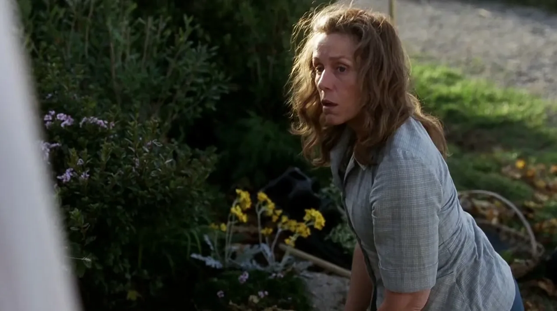 Frances McDormand in Olive Kitteridge (2014)