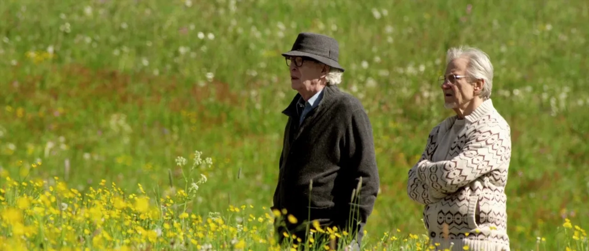 Harvey Keitel and Michael Caine in Youth (2015)