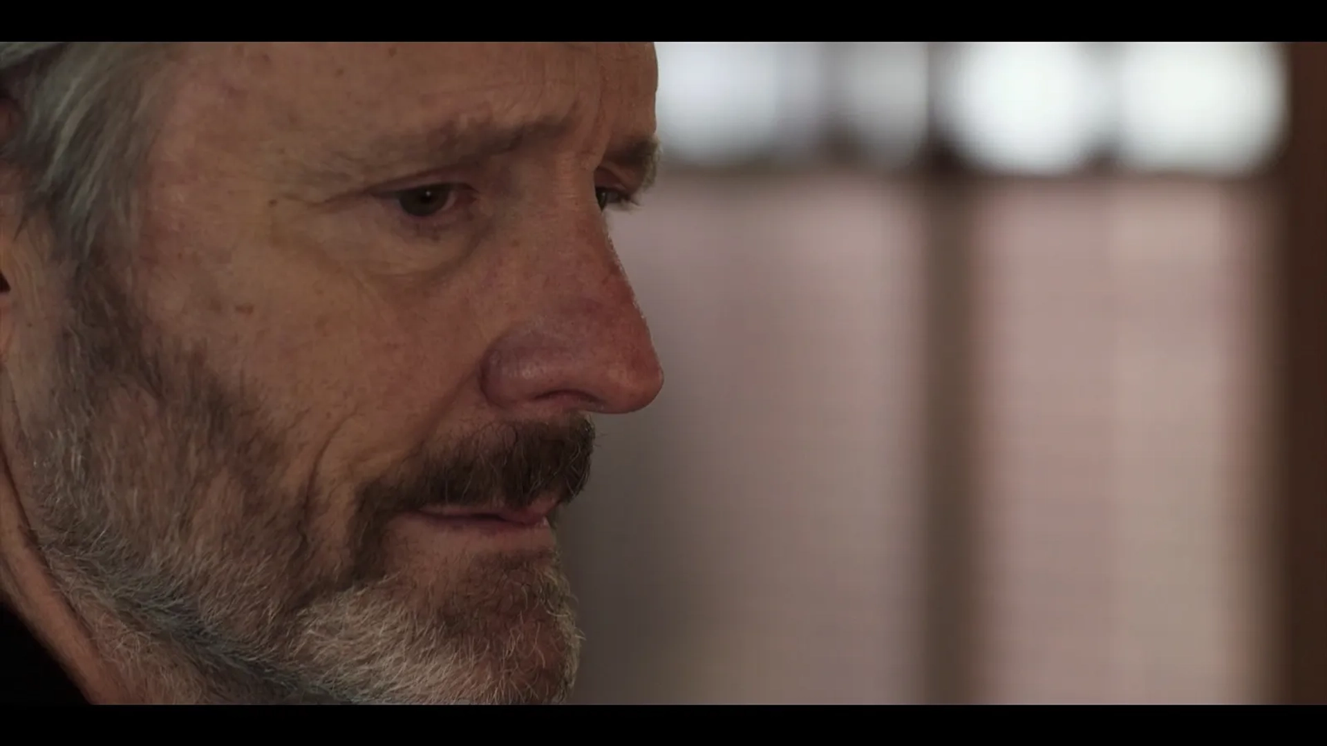 John Benjamin Hickey in In Treatment (2008)