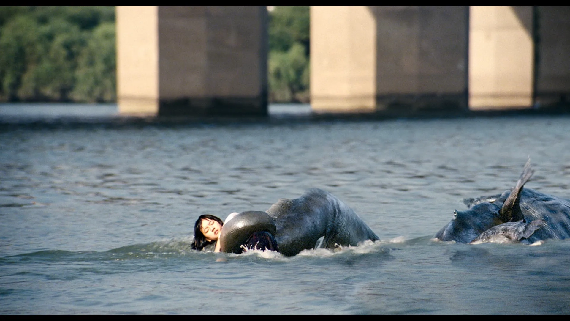 Dal-su Oh and Ko Asung in The Host (2006)