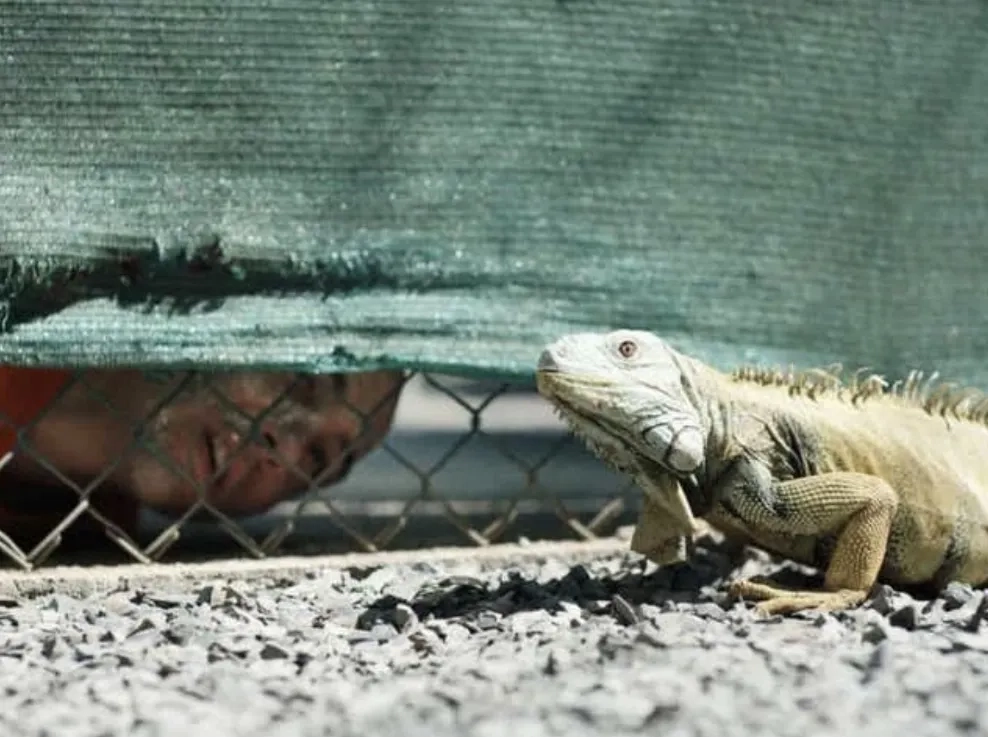 Tahar Rahim in The Mauritanian (2021)