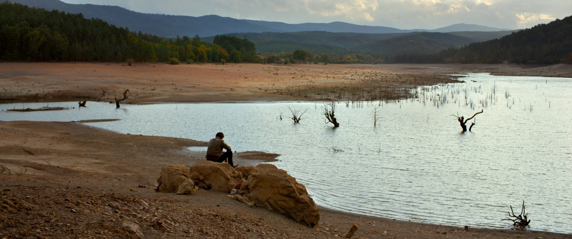 Ahmet Rifat Sungar in The Wild Pear Tree (2018)