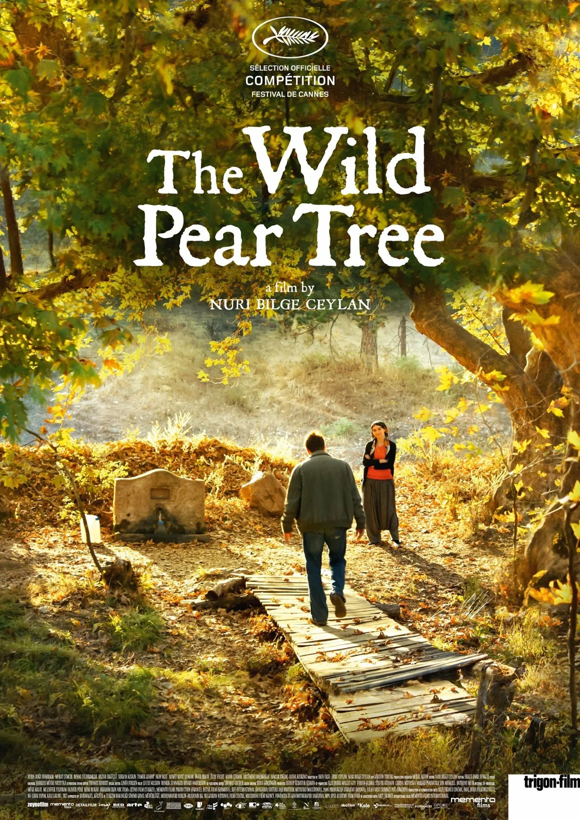 Hazar Ergüçlü and Dogu Demirkol in The Wild Pear Tree (2018)