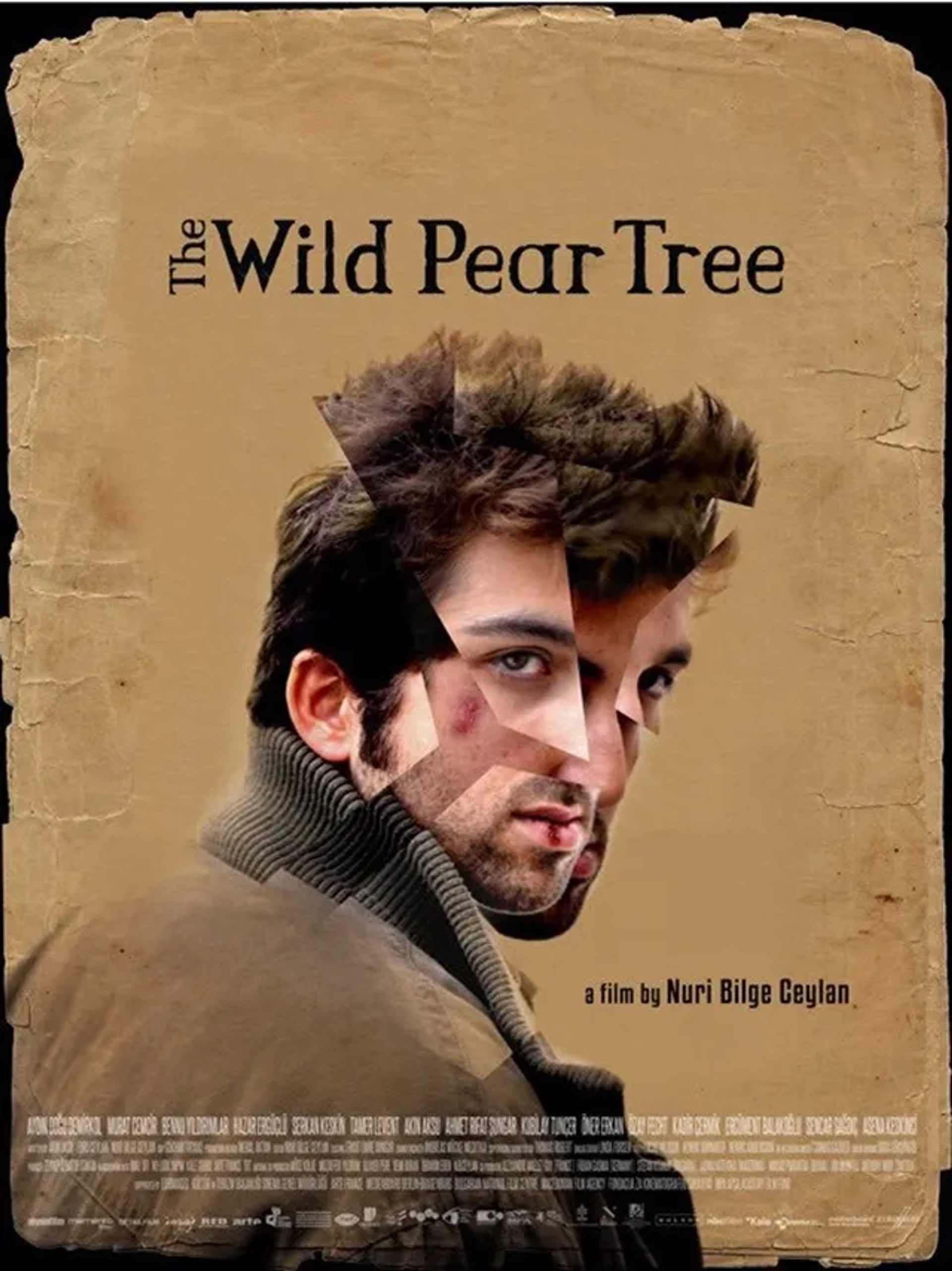 Dogu Demirkol in The Wild Pear Tree (2018)