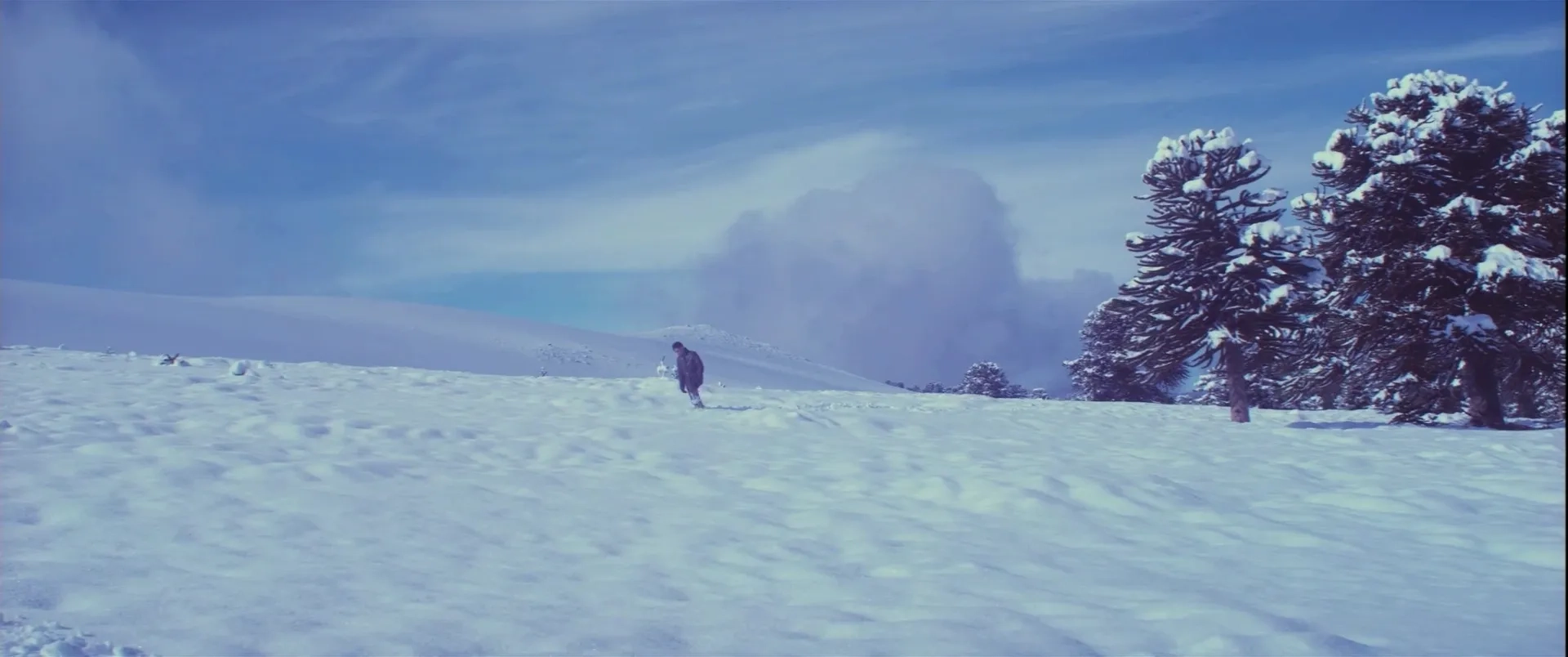 Gael García Bernal in Neruda (2016)