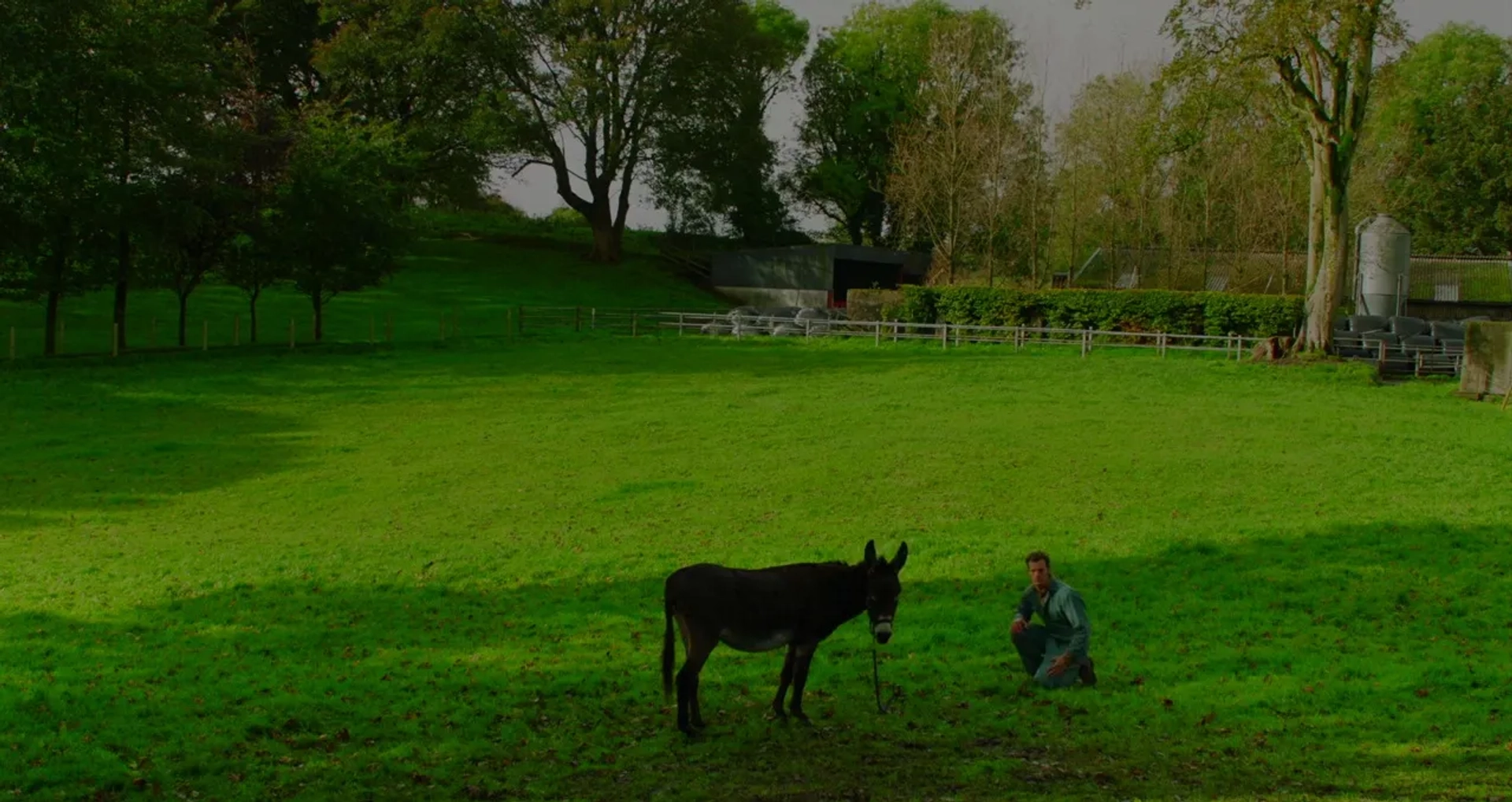 Jamie Dornan in Wild Mountain Thyme (2020)