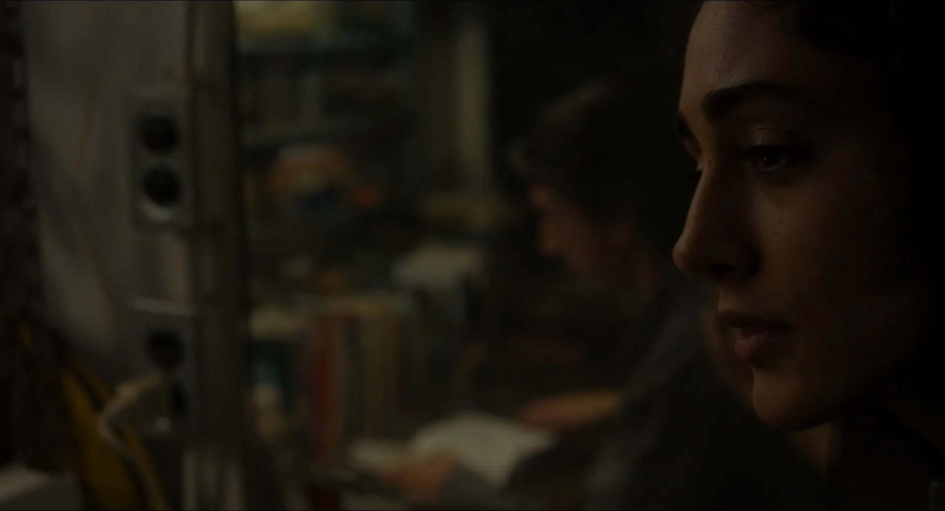 Golshifteh Farahani and Adam Driver in Paterson (2016)