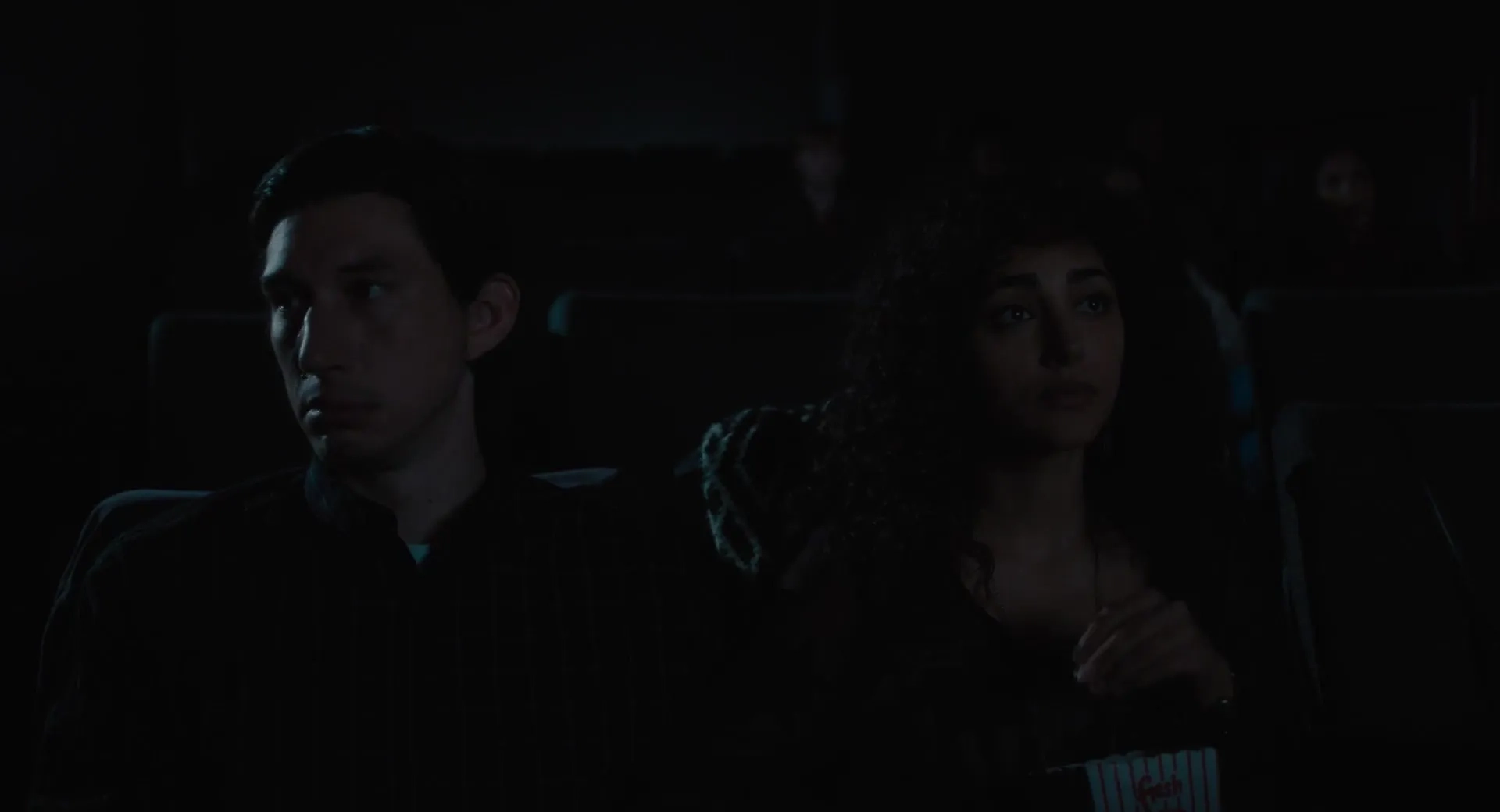 Golshifteh Farahani and Adam Driver in Paterson (2016)