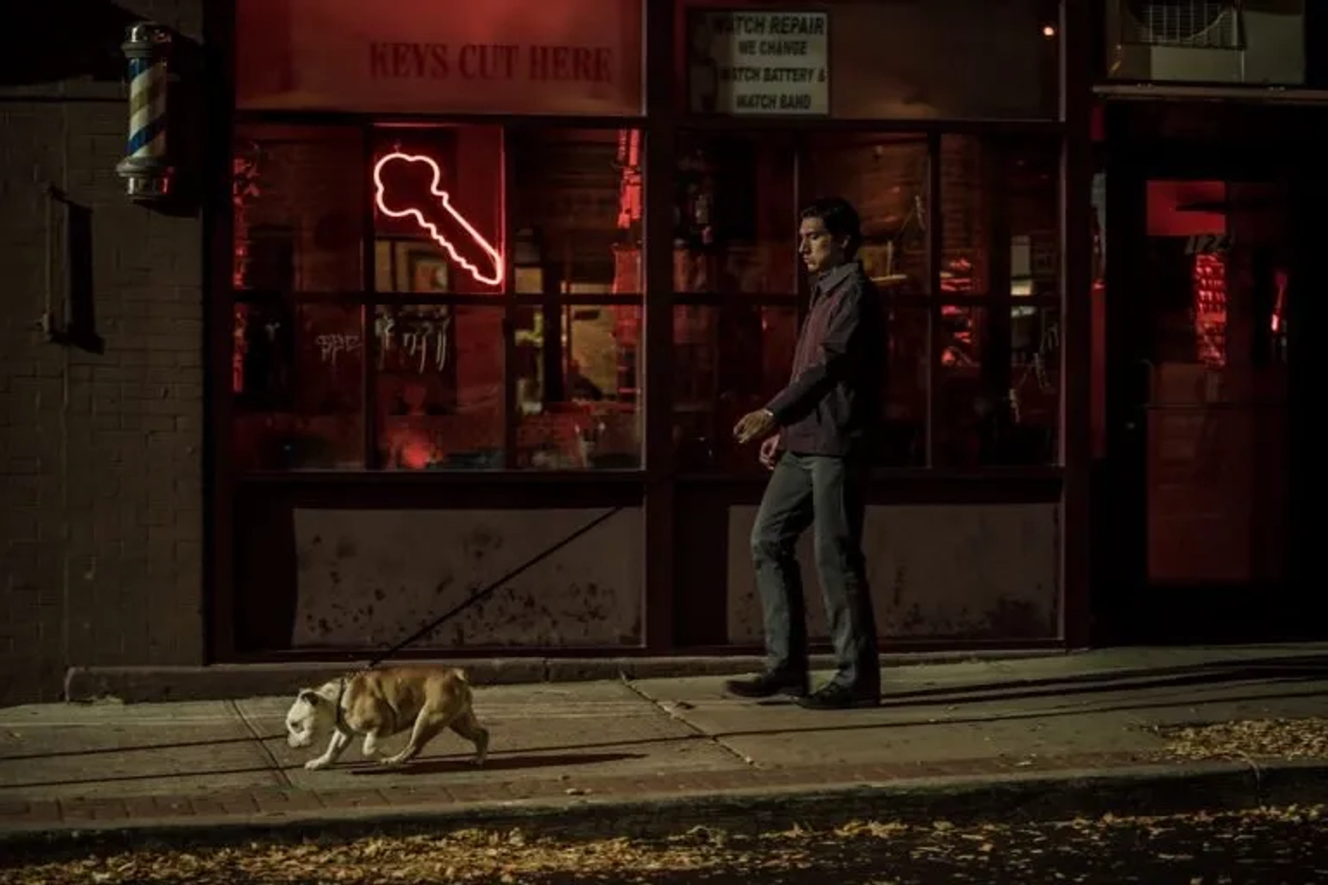 Adam Driver and Nellie in Paterson (2016)