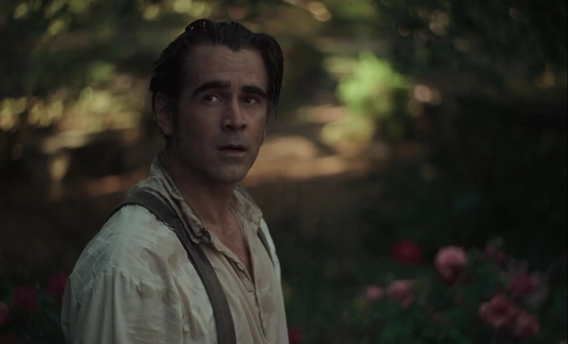 Colin Farrell in The Beguiled (2017)