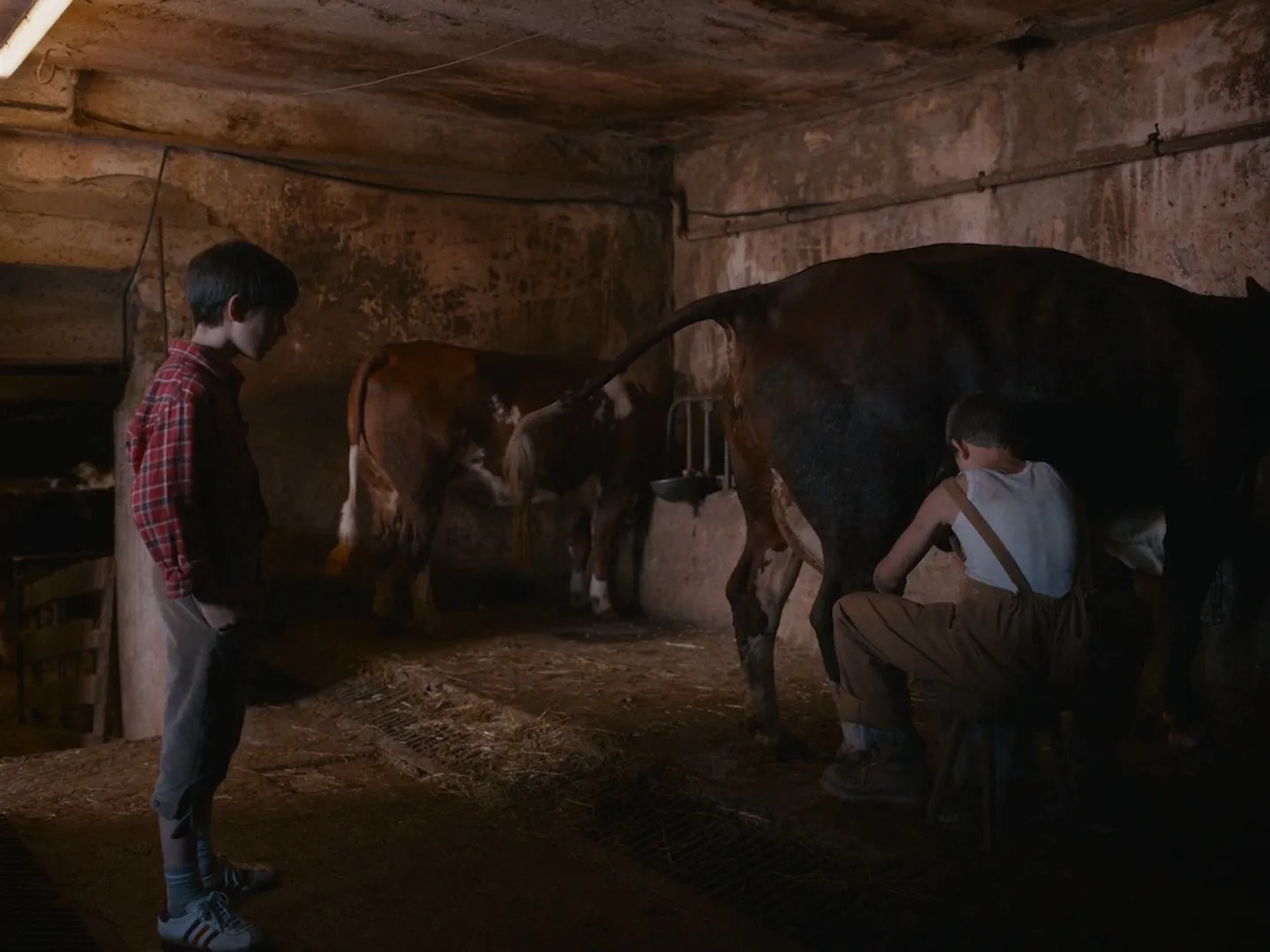 Lupo Barbiero and Cristiano Sassella in The Eight Mountains (2022)