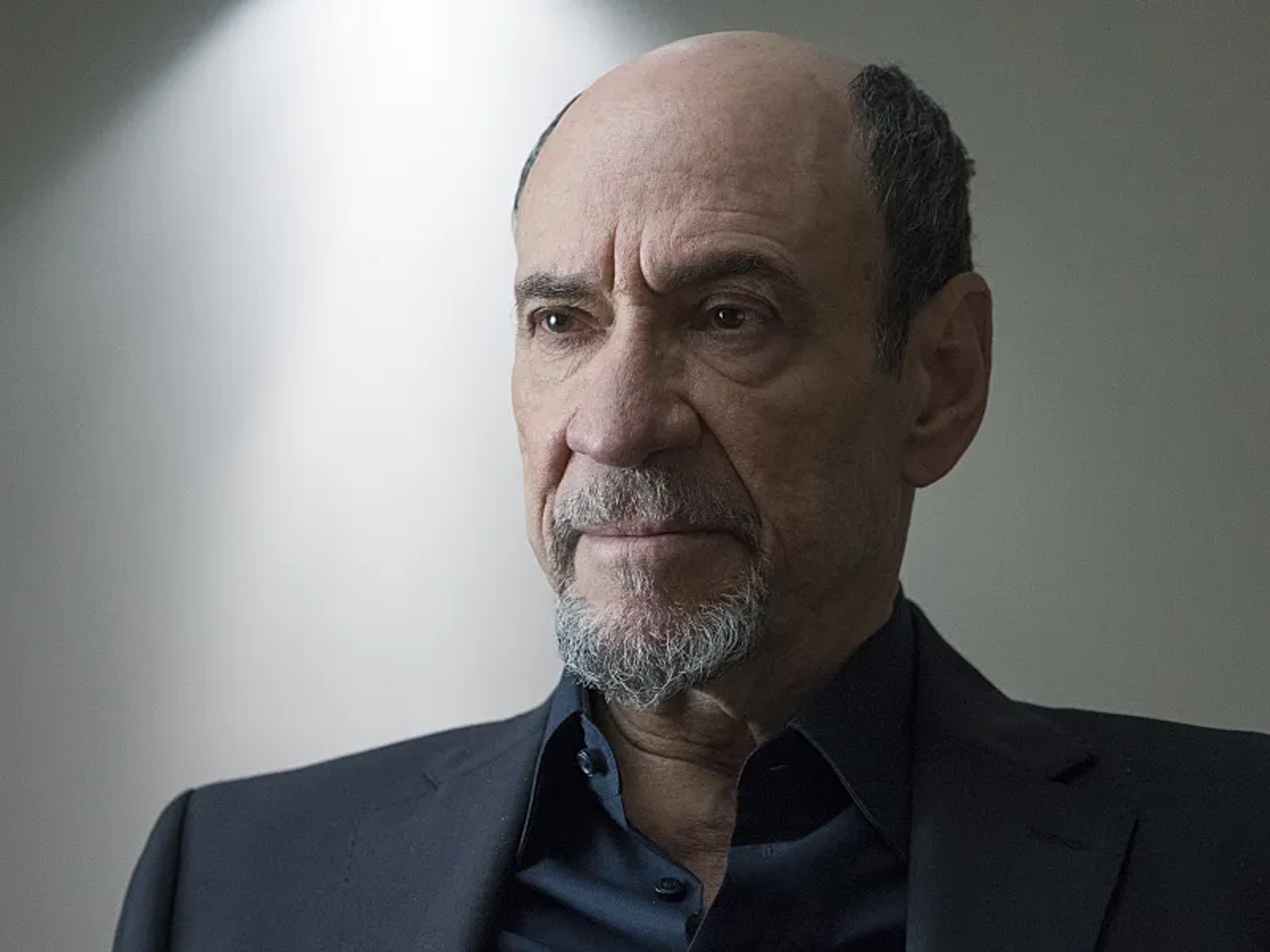 F. Murray Abraham in Homeland (2011)