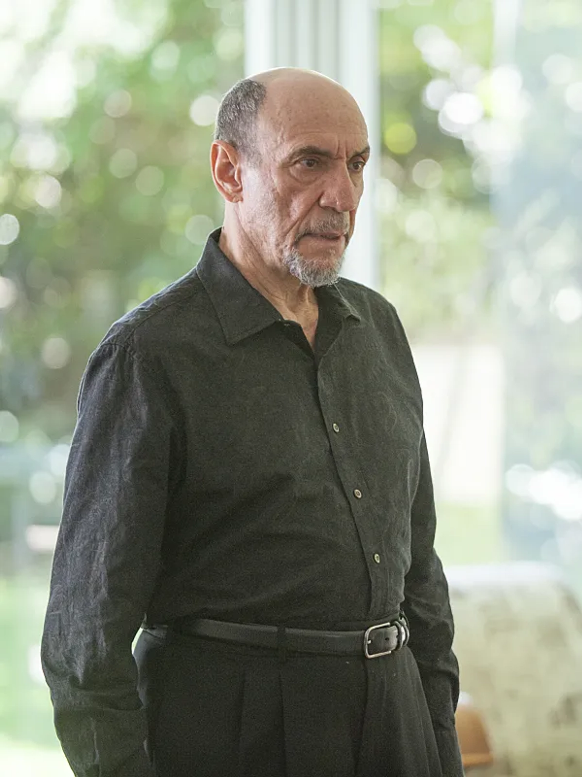 F. Murray Abraham in Homeland (2011)