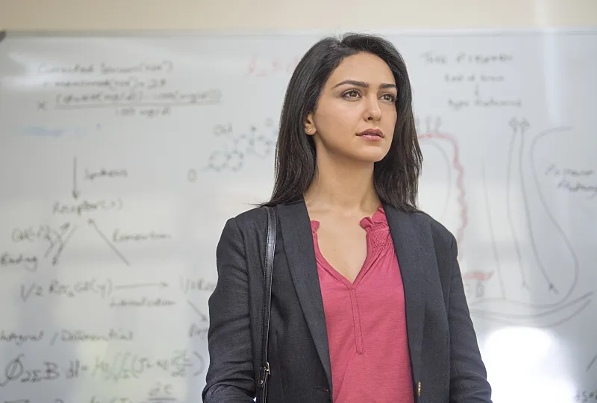 Nazanin Boniadi in Homeland (2011)