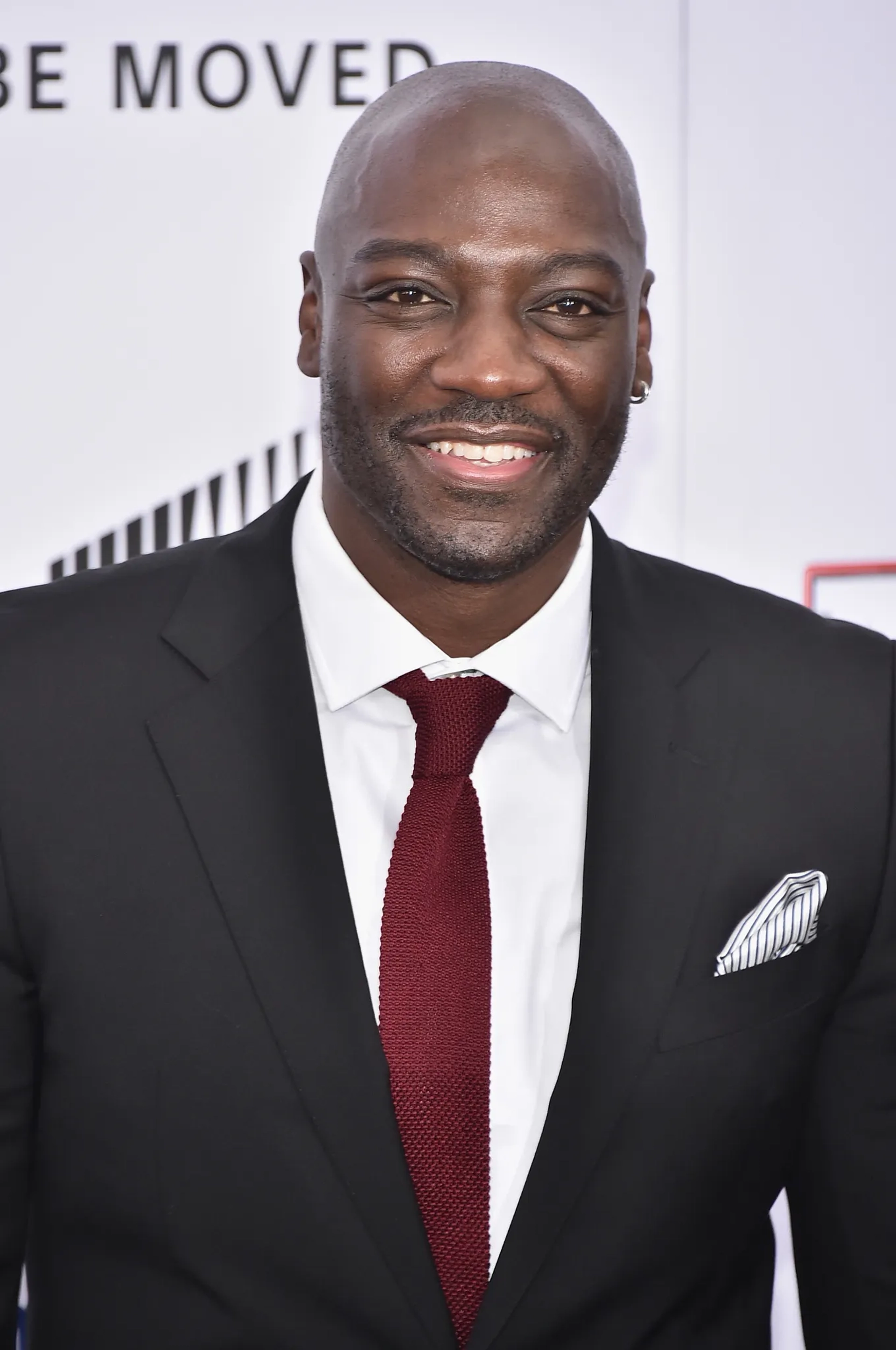 Adewale Akinnuoye-Agbaje at an event for Annie (2014)