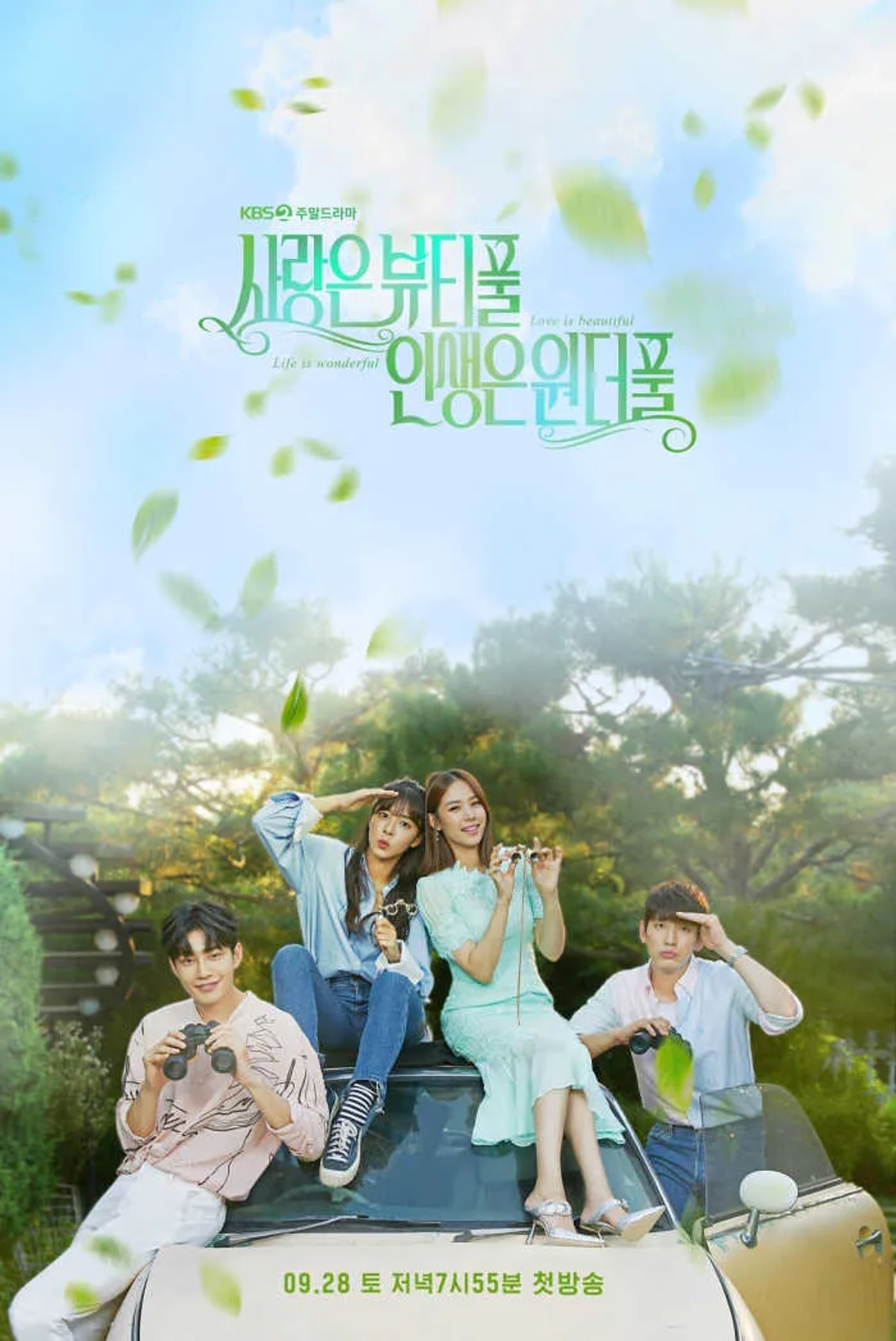 Beautiful Love, Wonderful Life (2019)