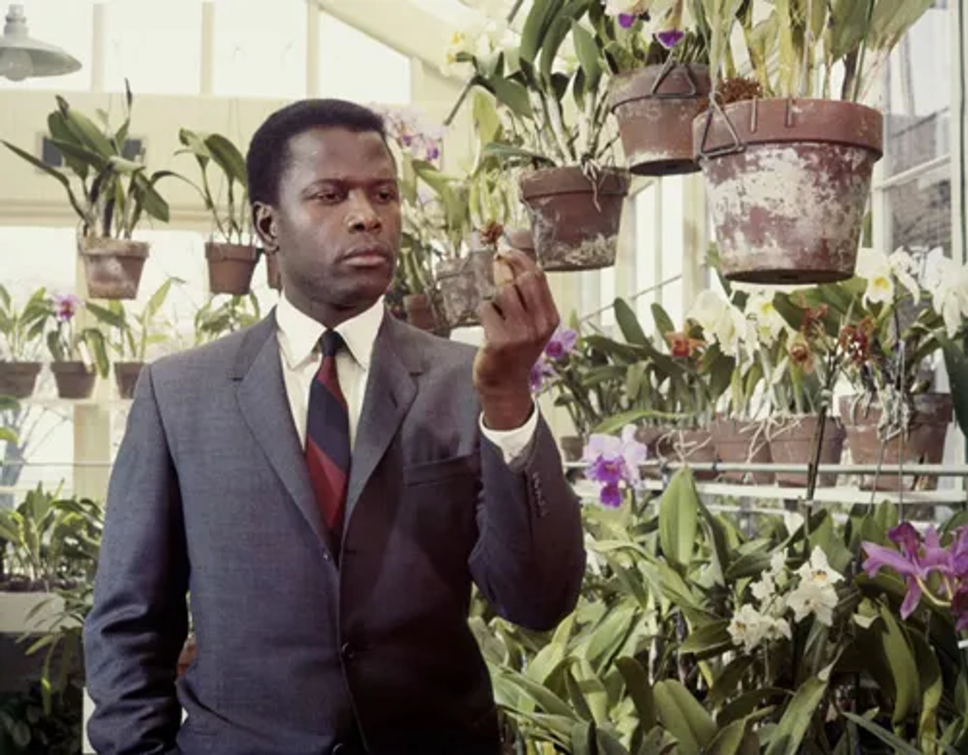 Sidney Poitier in In the Heat of the Night (1967)