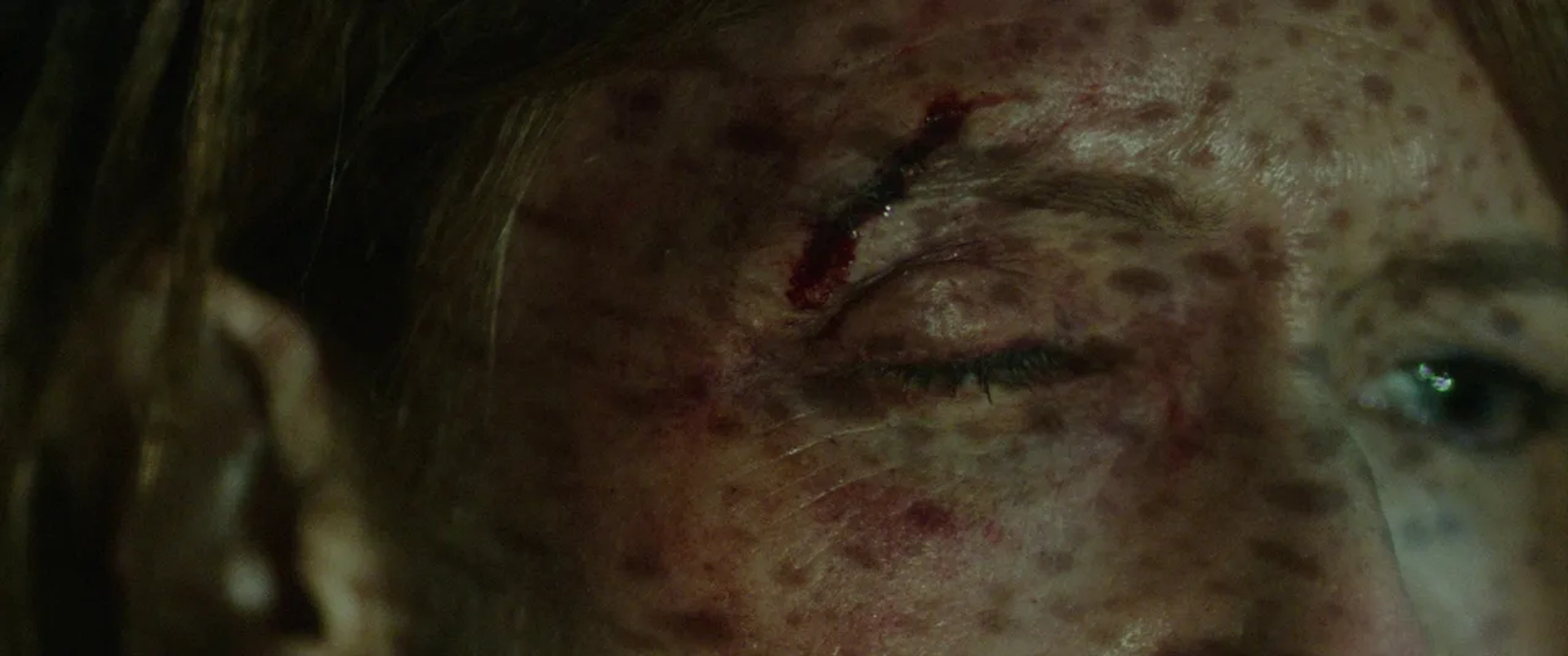 Laura Dern in Wild (2014)