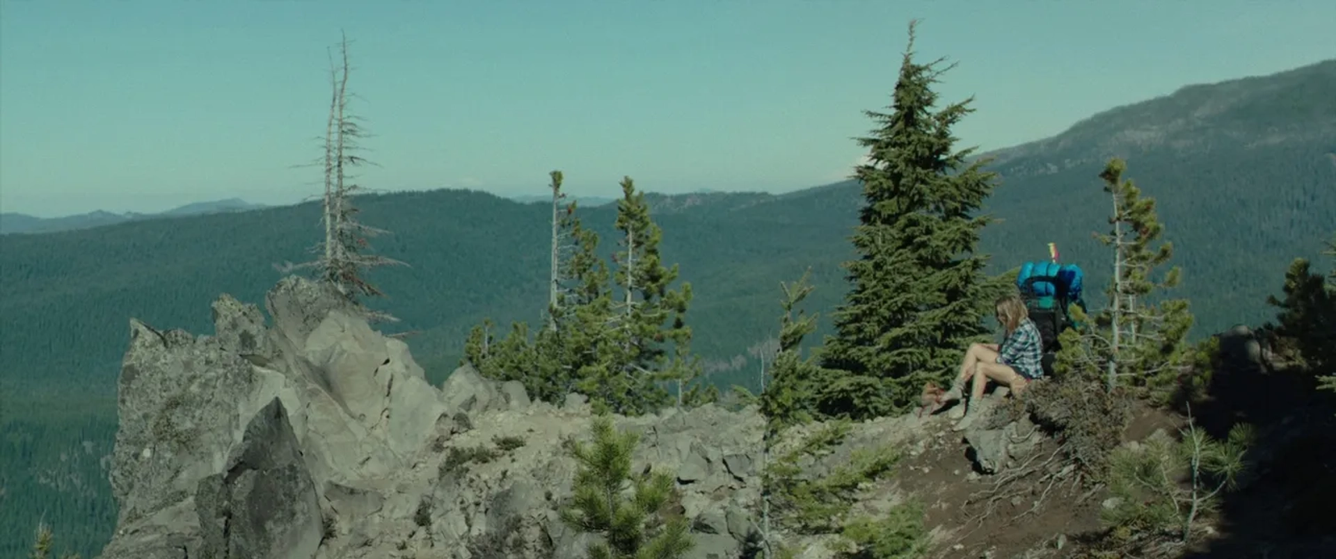 Reese Witherspoon in Wild (2014)
