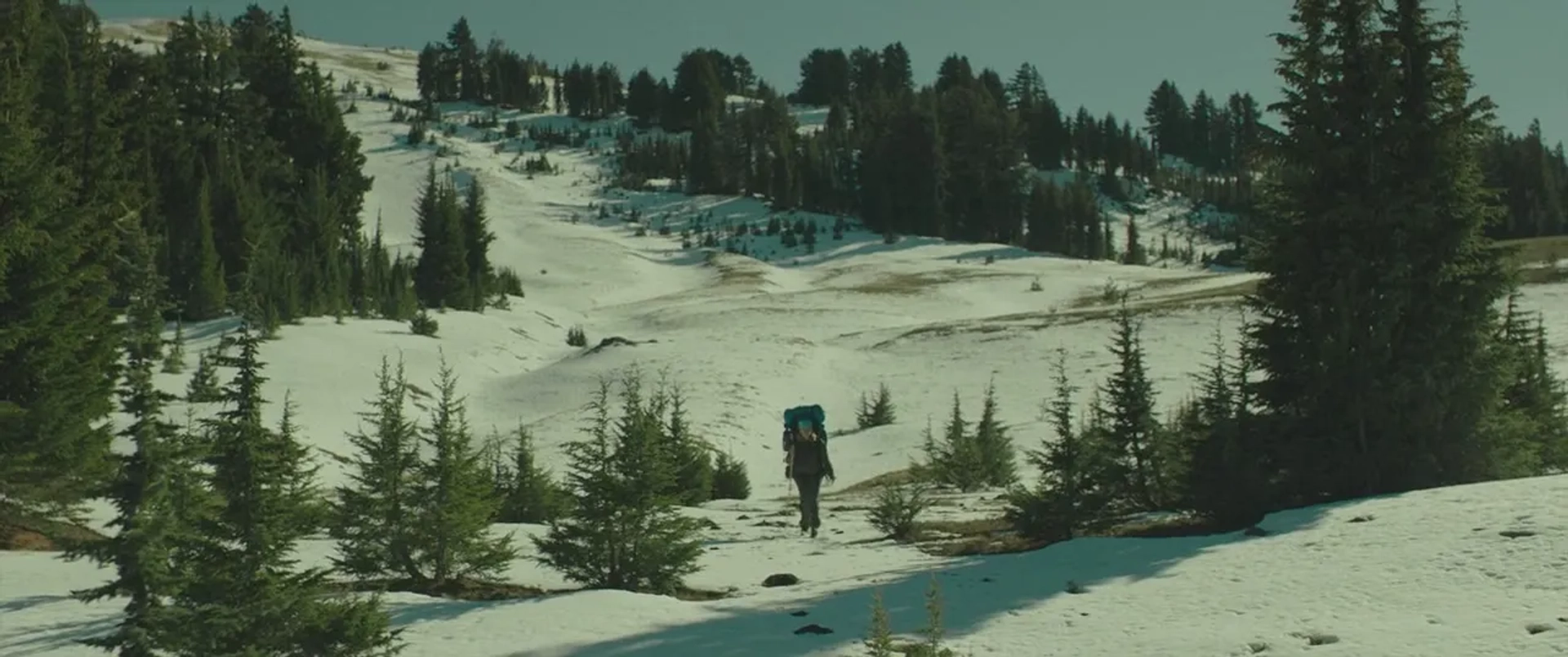 Reese Witherspoon in Wild (2014)