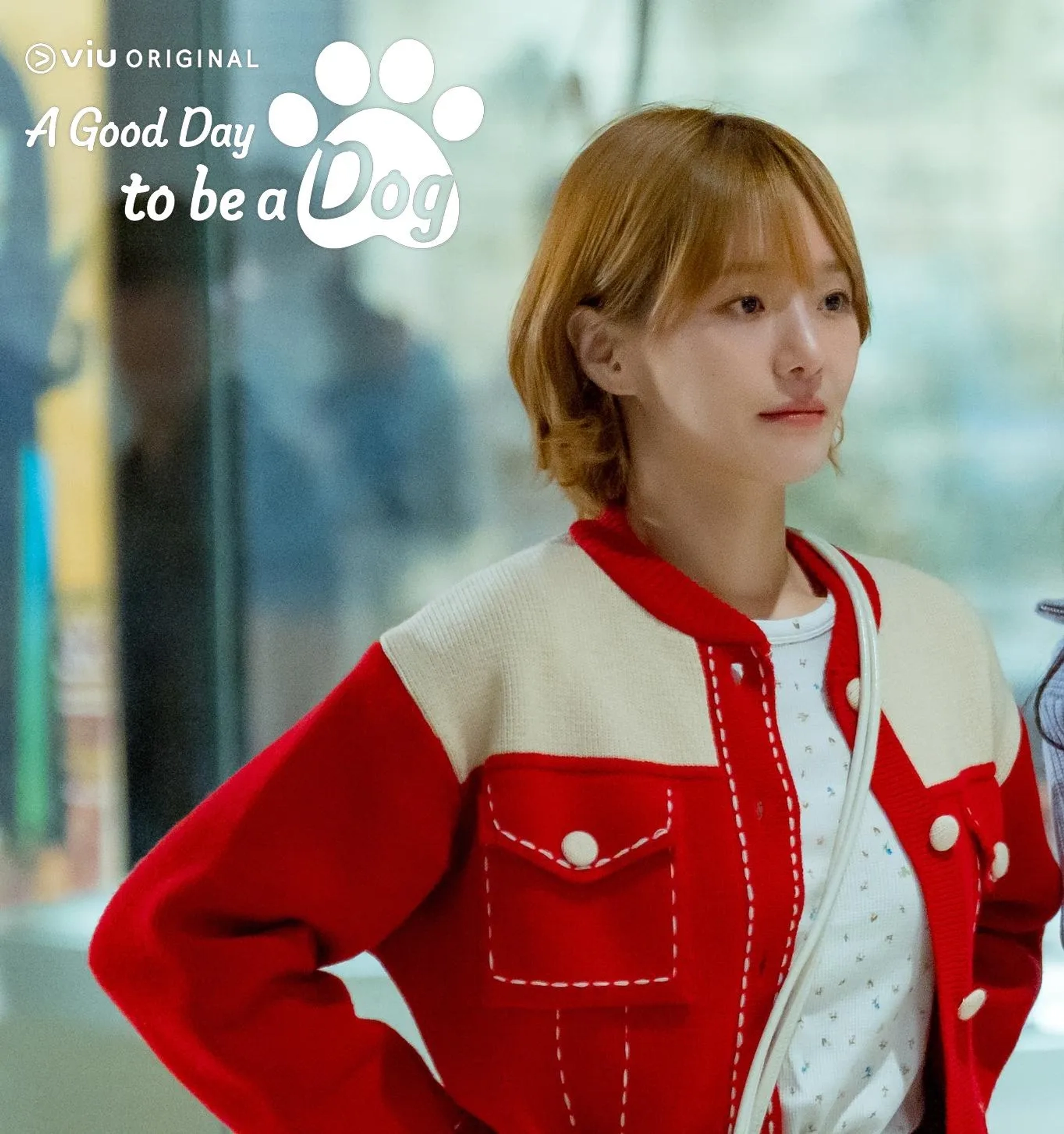 Park Gyuyoung in A Good Day to Be a Dog (2023)