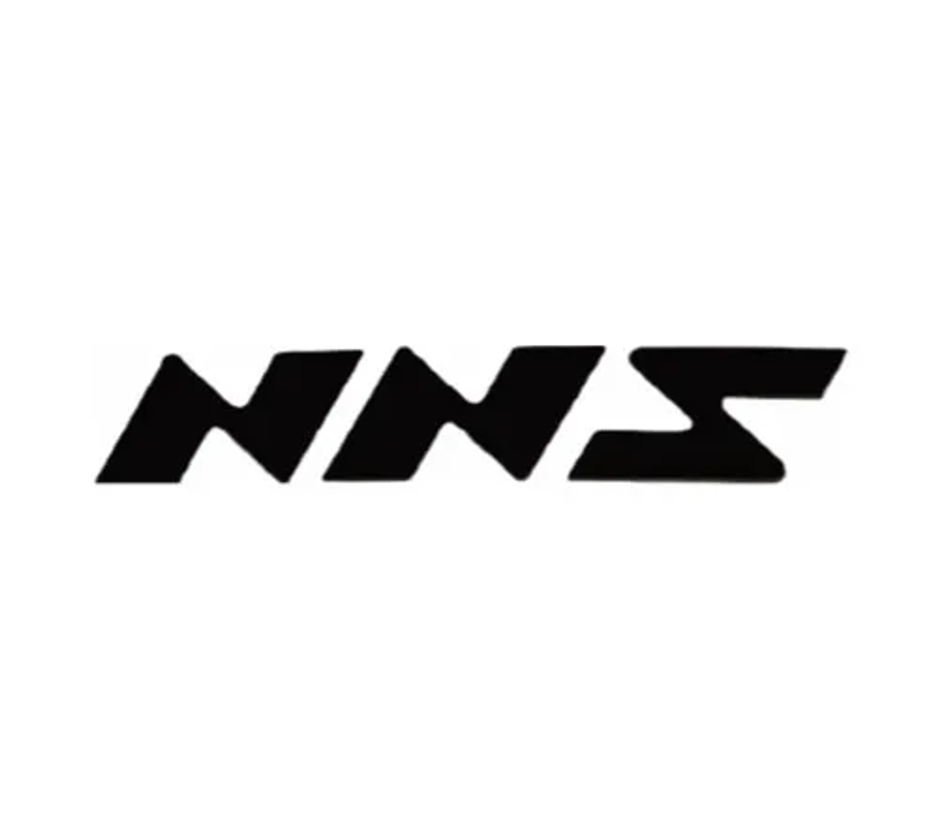 ان ان اس