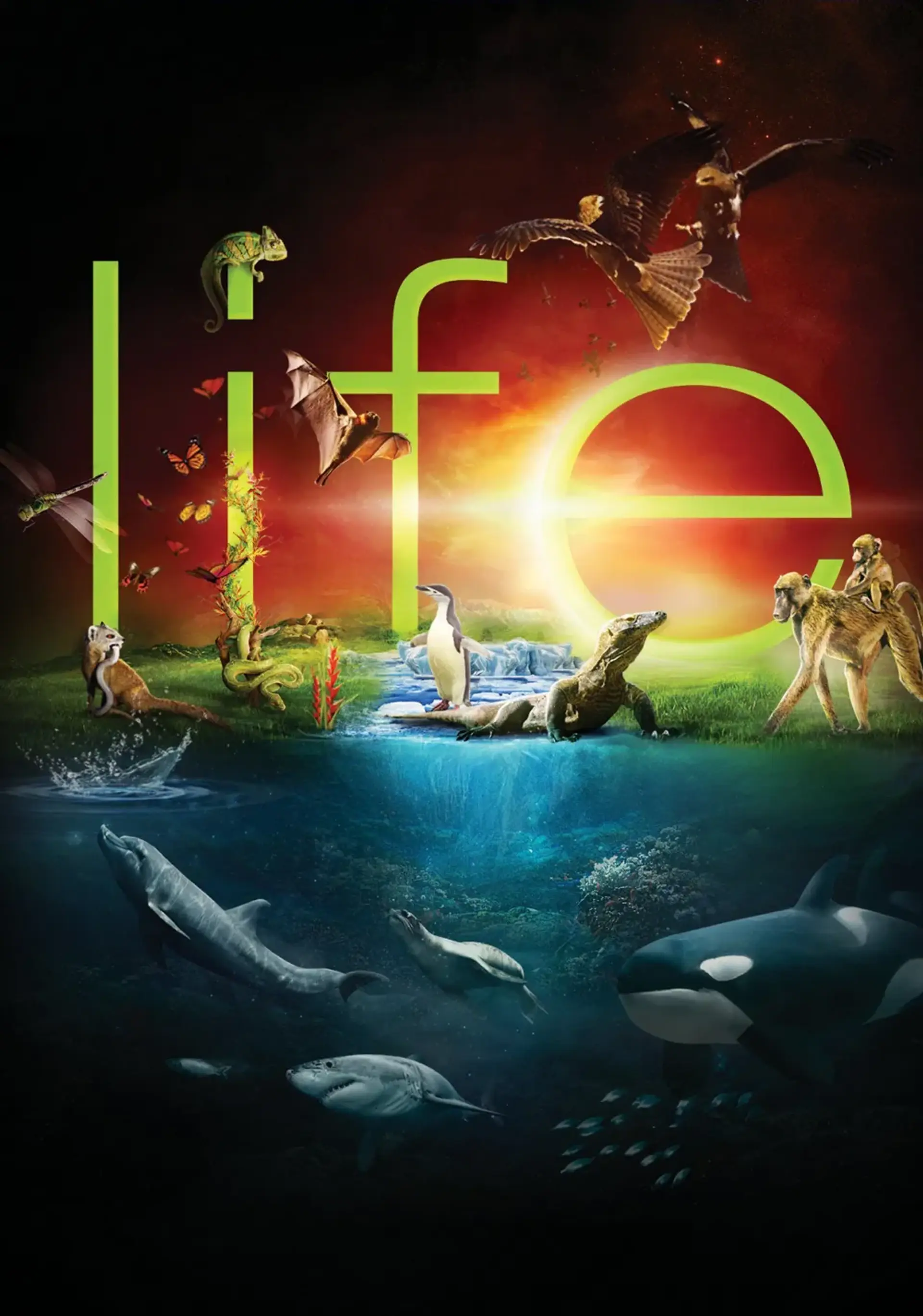 مستند حیات (Life 2009)