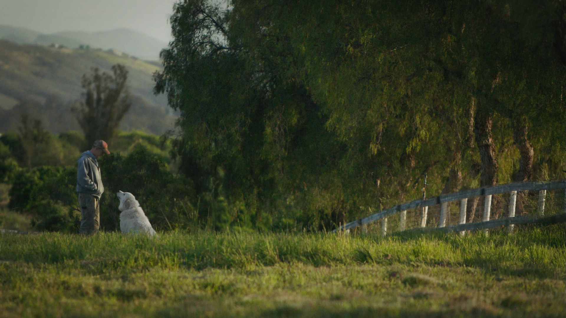 Caya and John Chester in The Biggest Little Farm (2018)