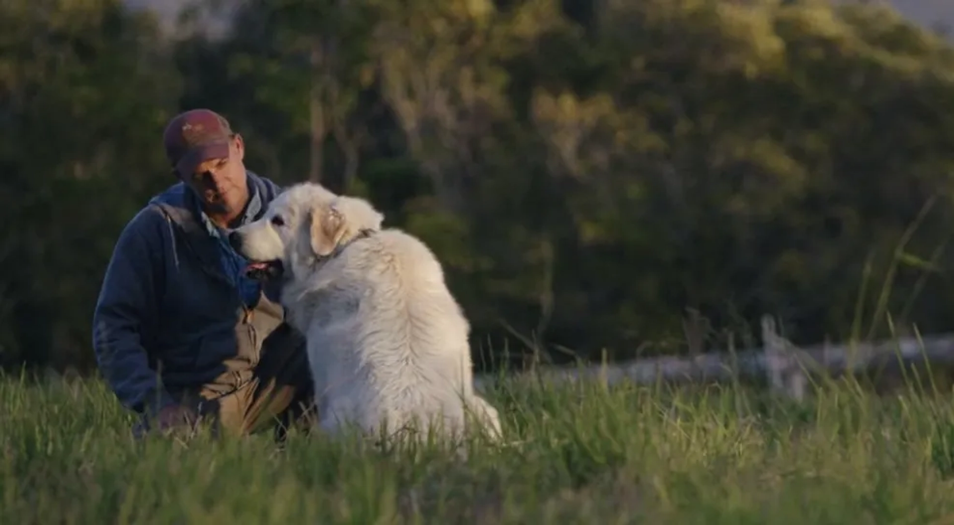 Caya and John Chester in The Biggest Little Farm (2018)