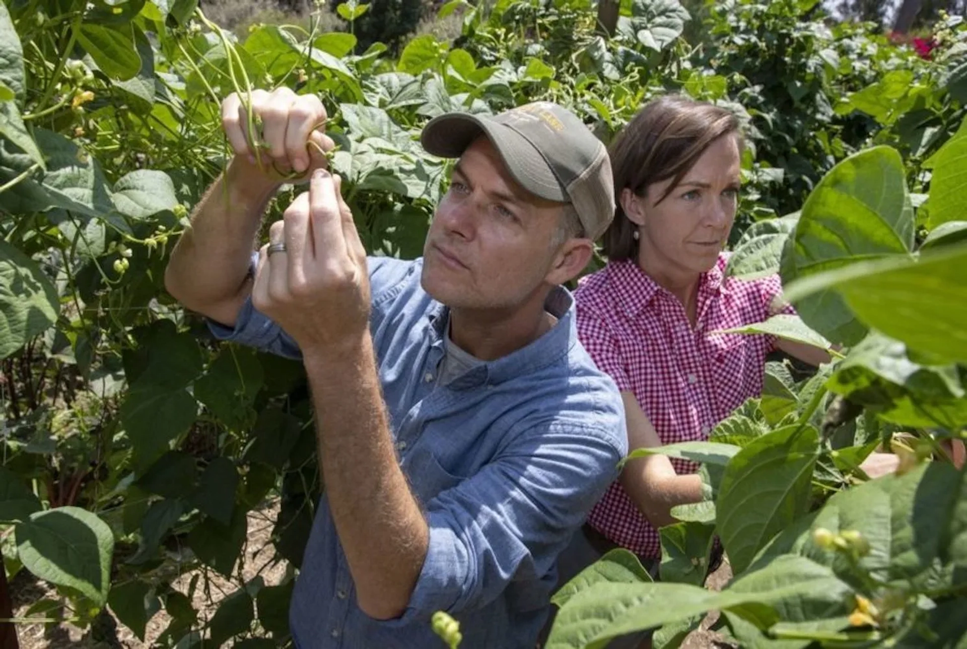 Molly Chester and John Chester in The Biggest Little Farm (2018)