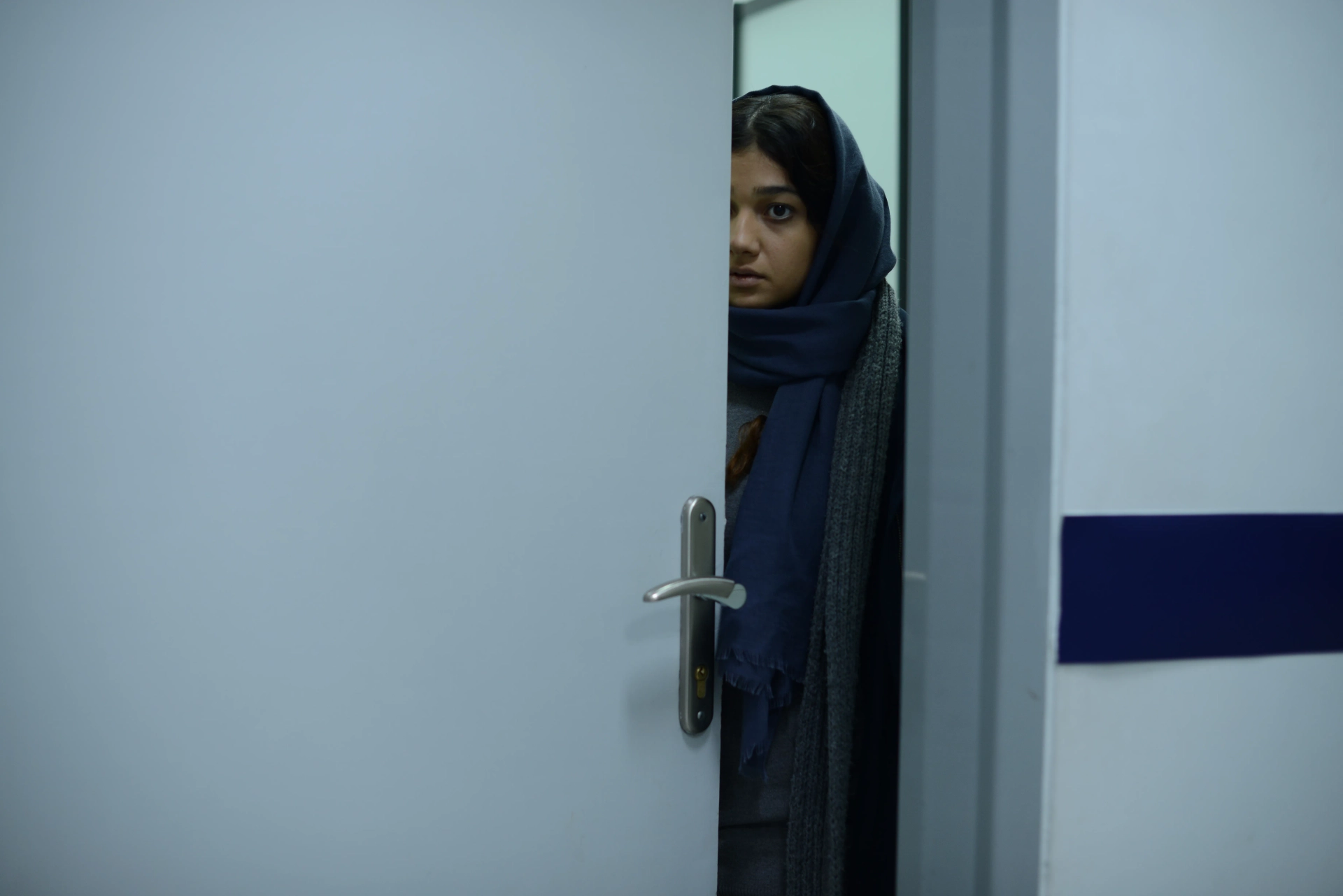 Sadaf Asgari in Disappearance (2017)