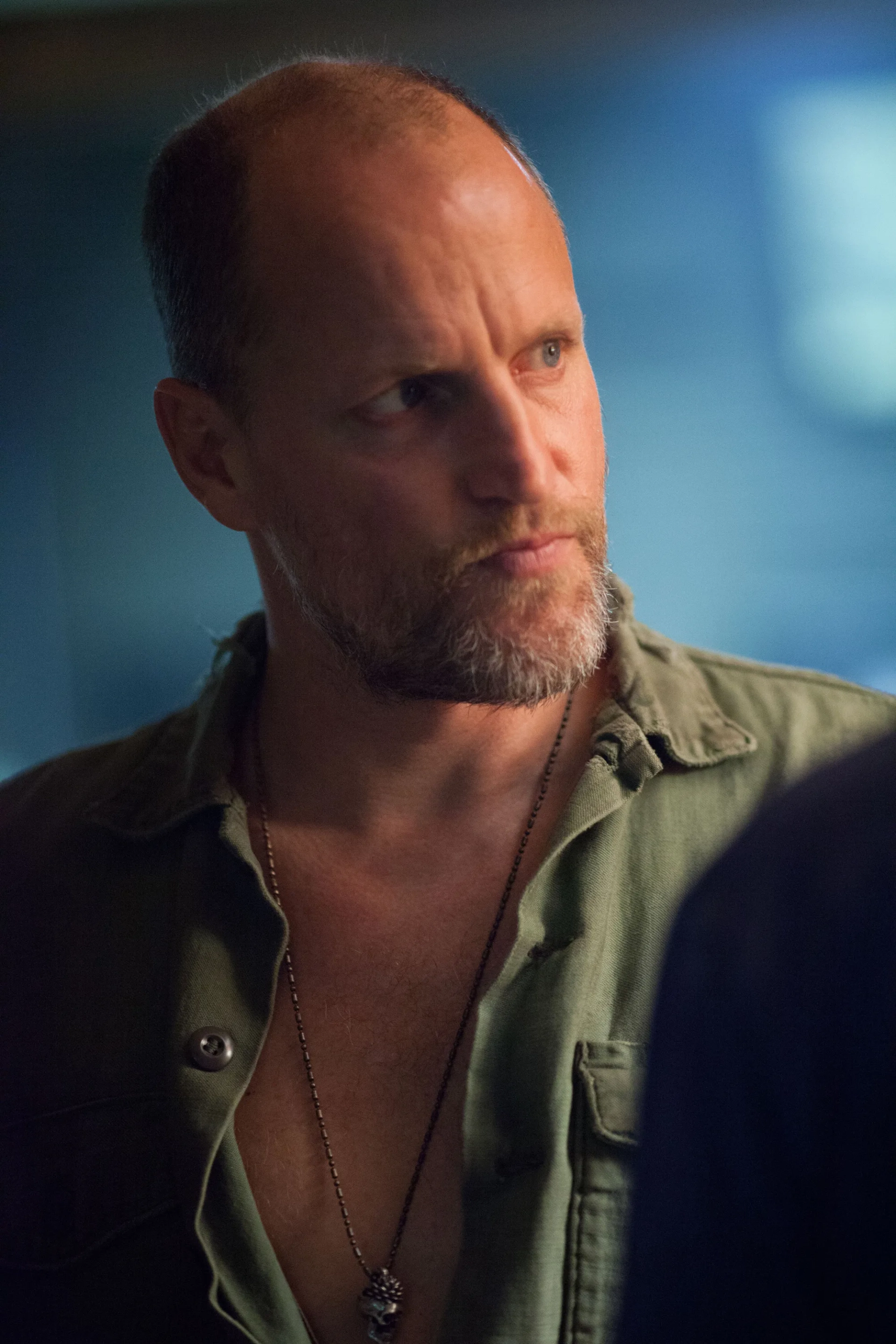 Woody Harrelson in Out of the Furnace (2013)