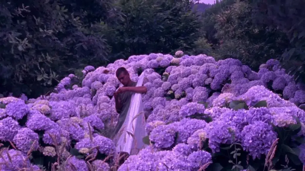 فیلم فلورس (Flores 2017)