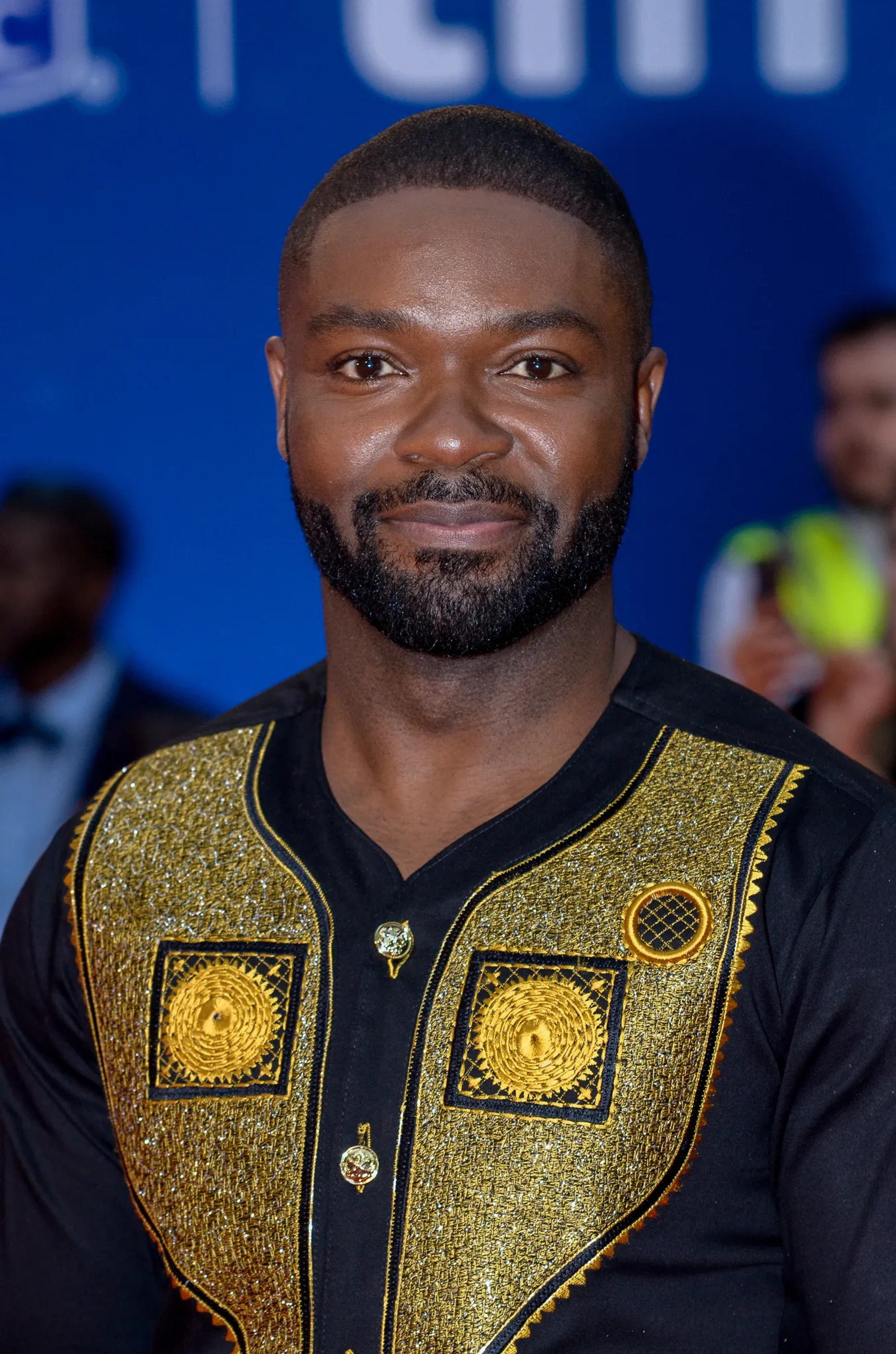 David Oyelowo at an event for Queen of Katwe (2016)