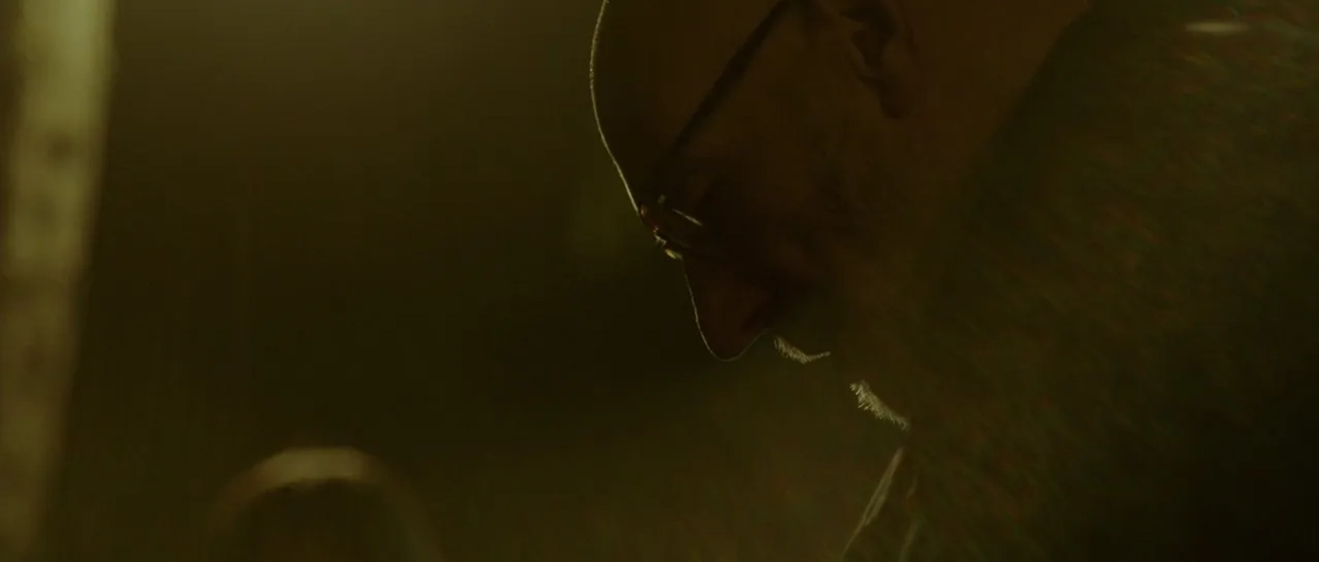 Patrick Stewart in Green Room (2015)