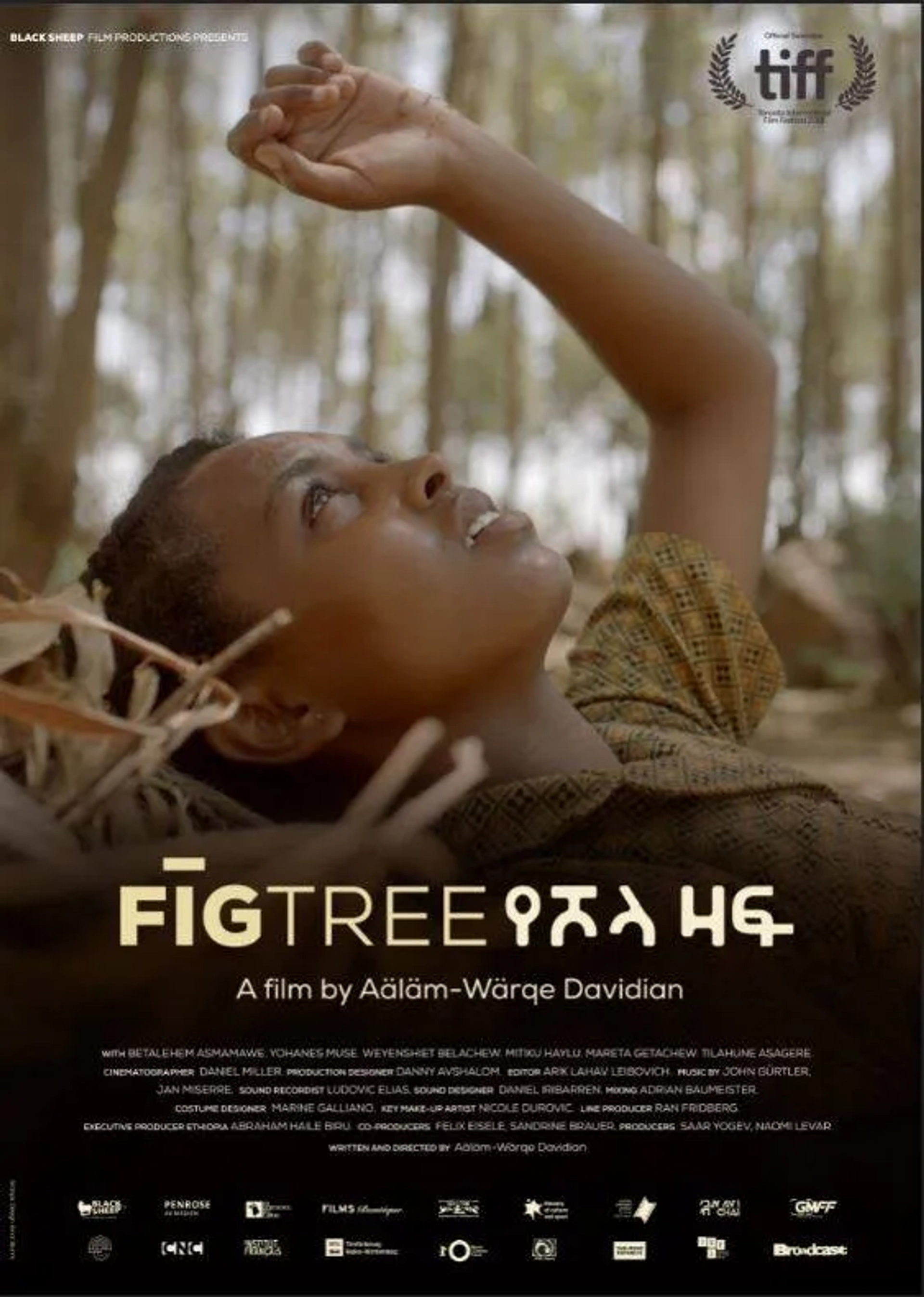 فیلم درخت انجیر