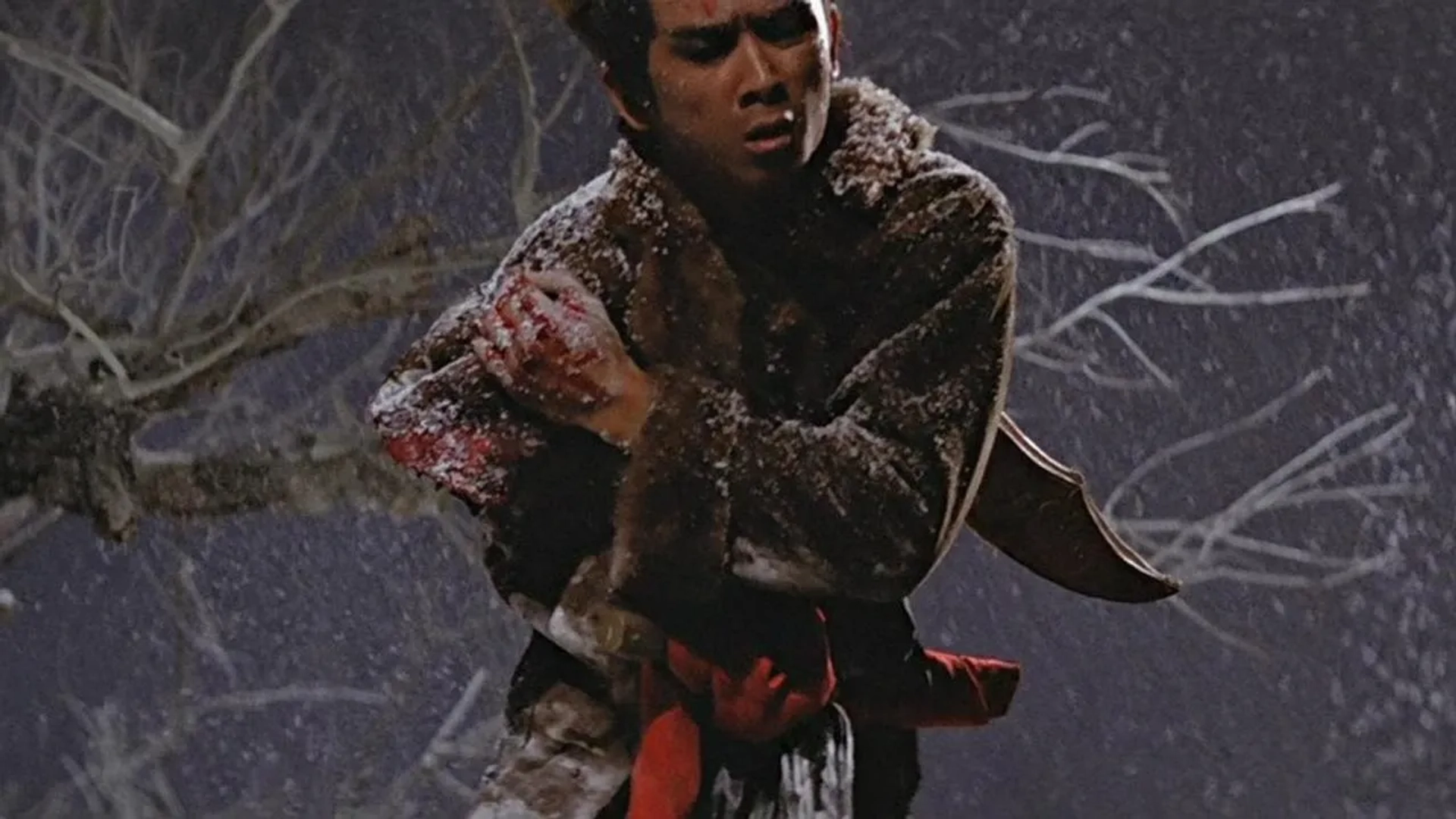 فیلم شمشیرزن یک دست (The One-Armed Swordsman 1967)