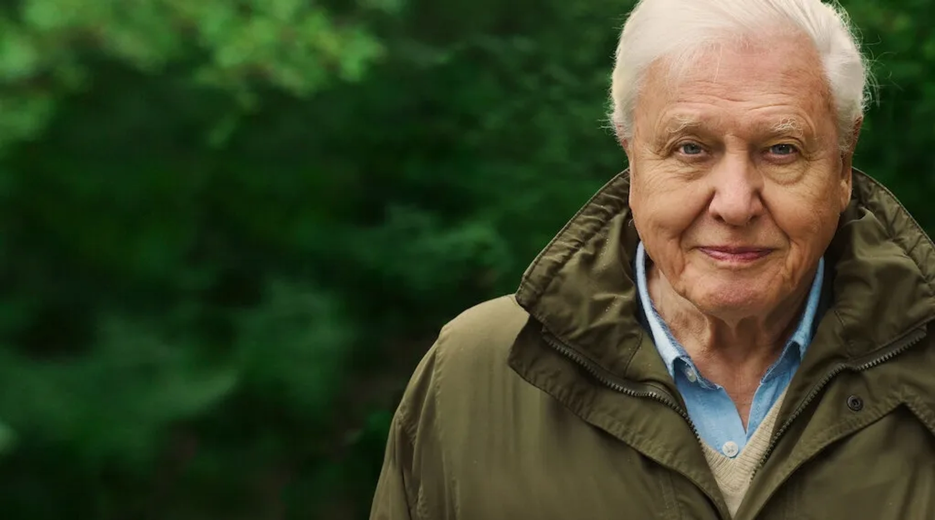 مستند دیوید آتنبرو: زندگی در سیاره ما (David Attenborough: A Life on Our Planet 2020)