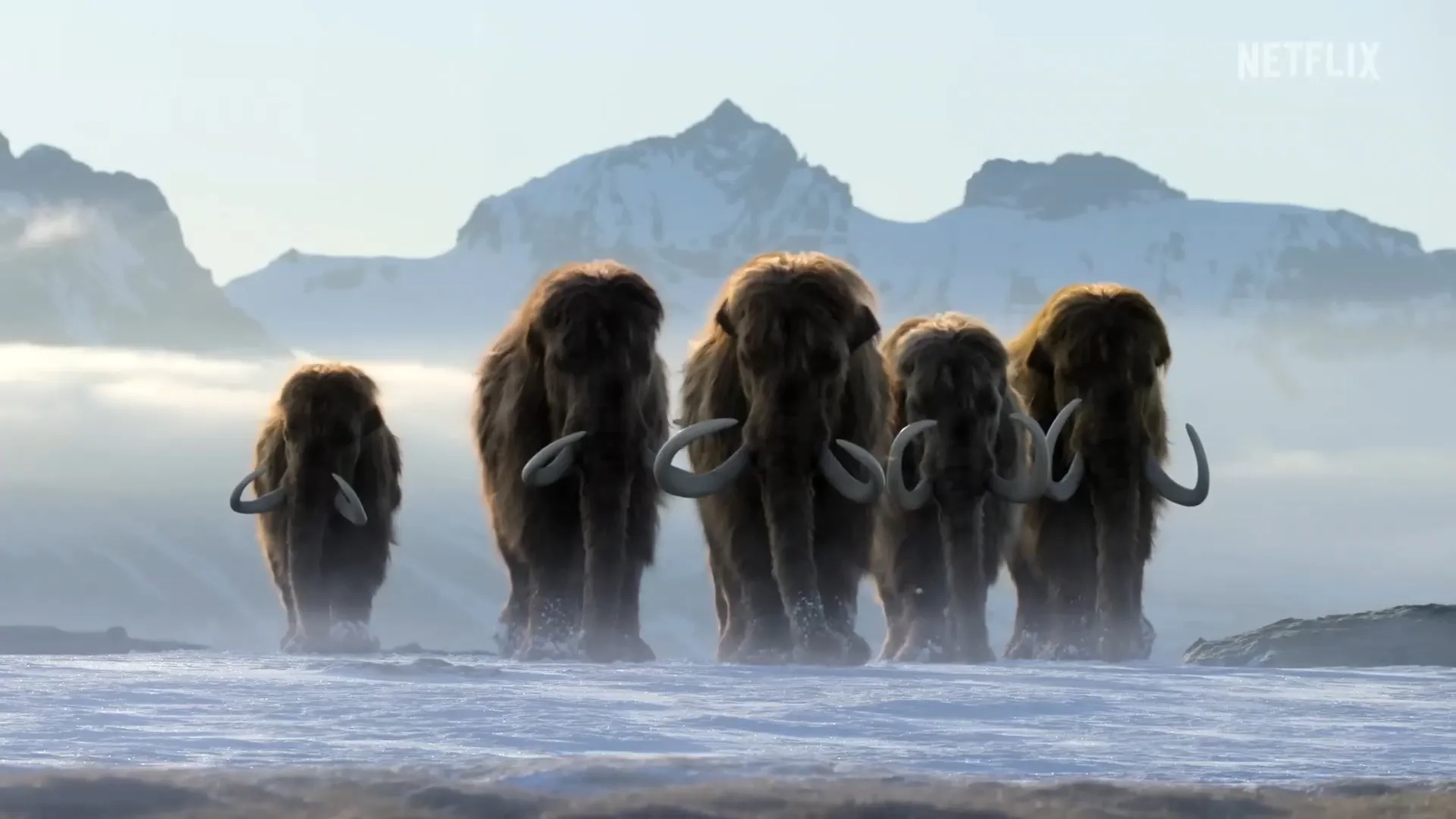 مستند حیات در سیاره ما (Life on Our Planet 2023)