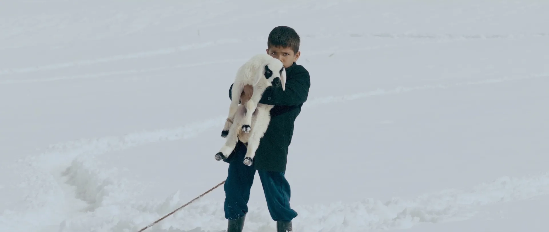 Mert Tastan in The Lamb (2014)