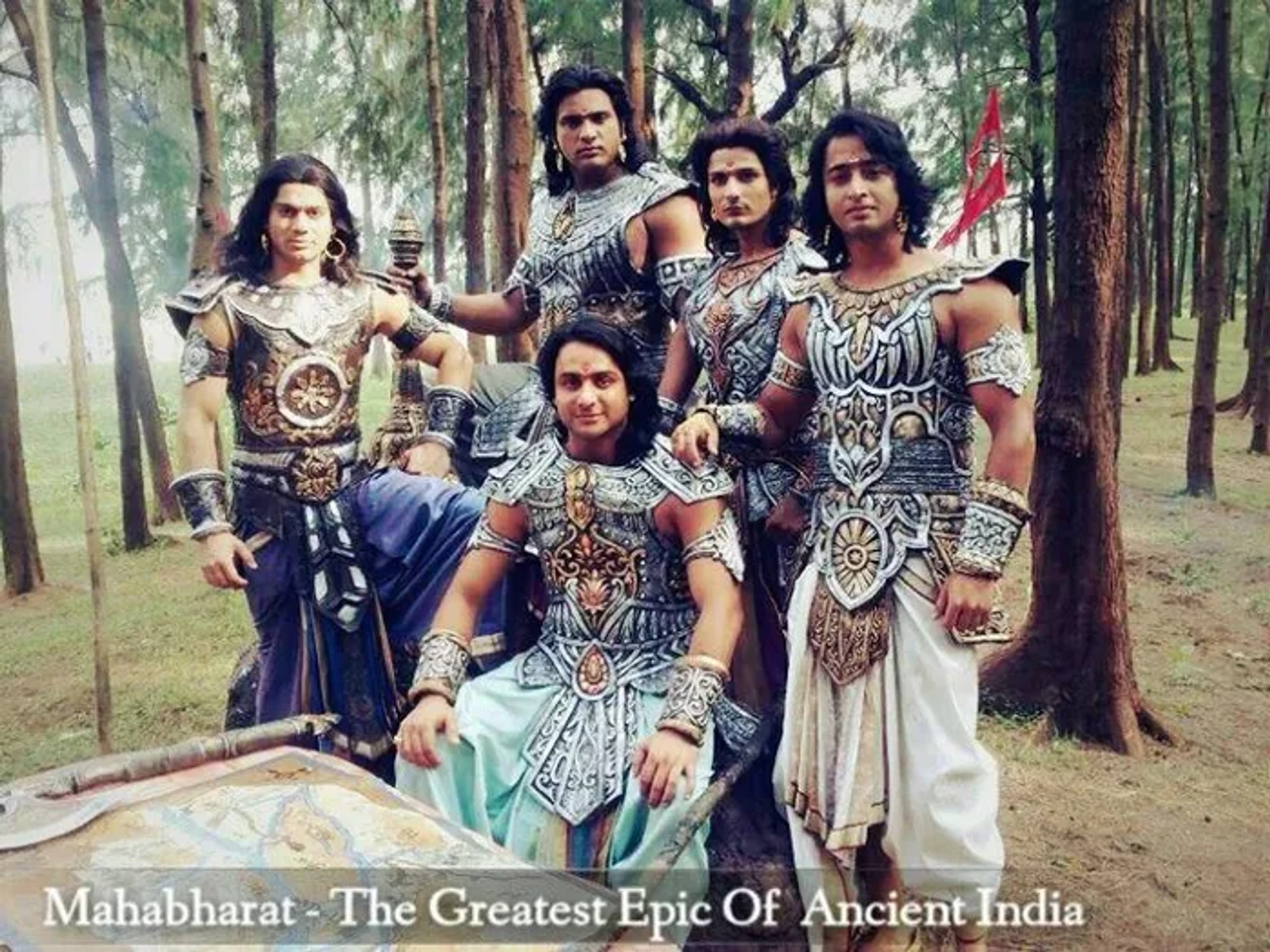 Rohit Bharadwaj, Shaheer Sheikh, Vinay Rana, Lavanya Bhardwaj, and Saurav Gurjar in Mahabharat (2013)