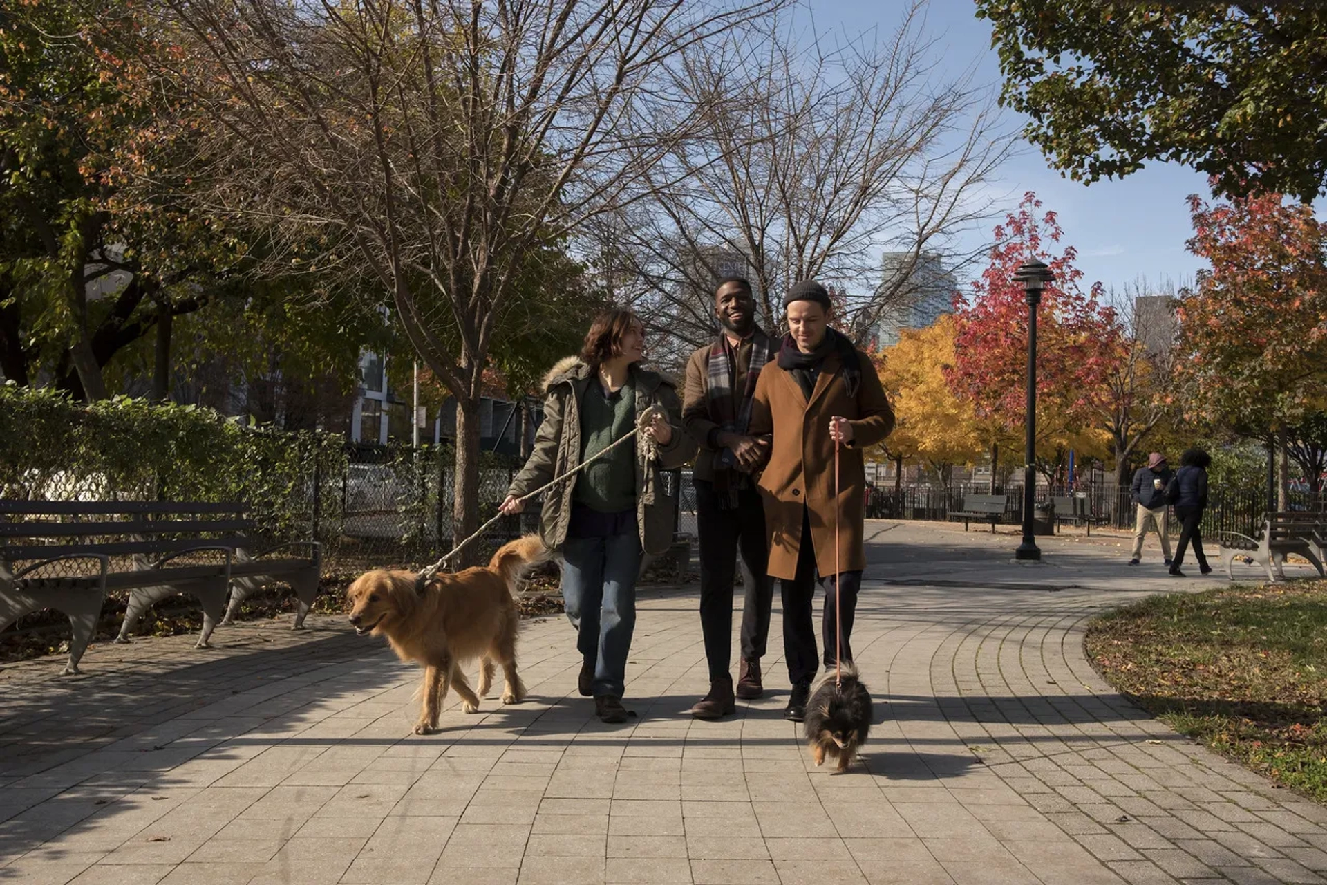 Andrew Scott, Olivia Cooke, and Brandon Kyle Goodman in Modern Love (2019)