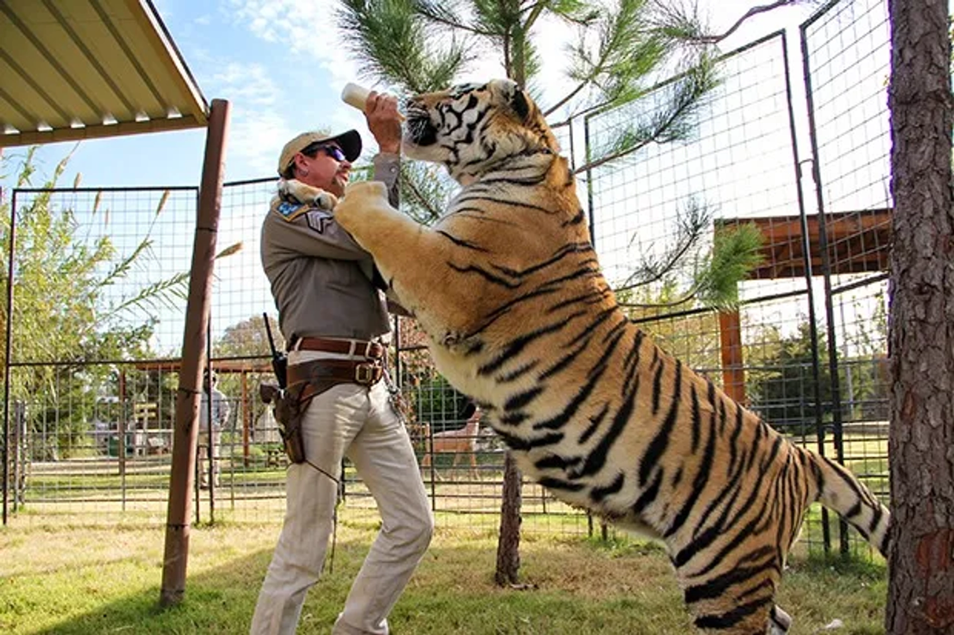 Joe Exotic in Tiger King (2020)