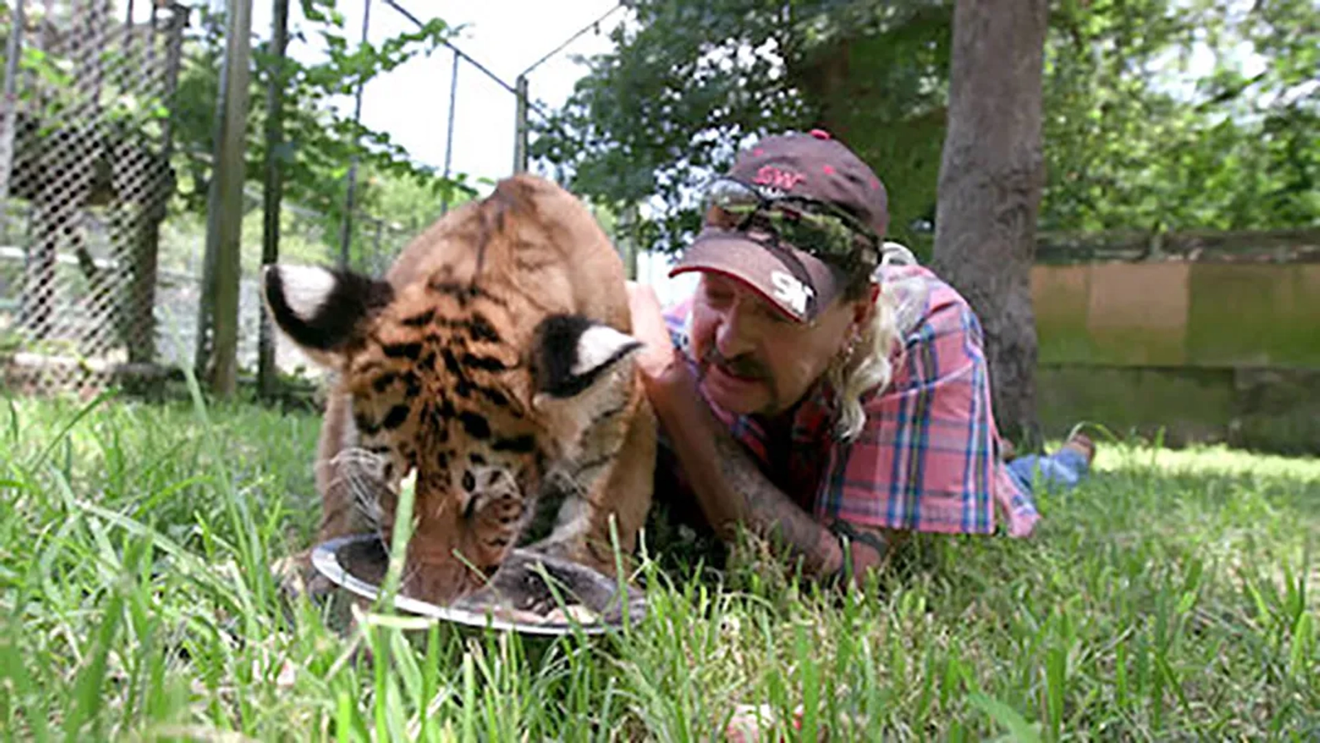 Joe Exotic in Tiger King (2020)