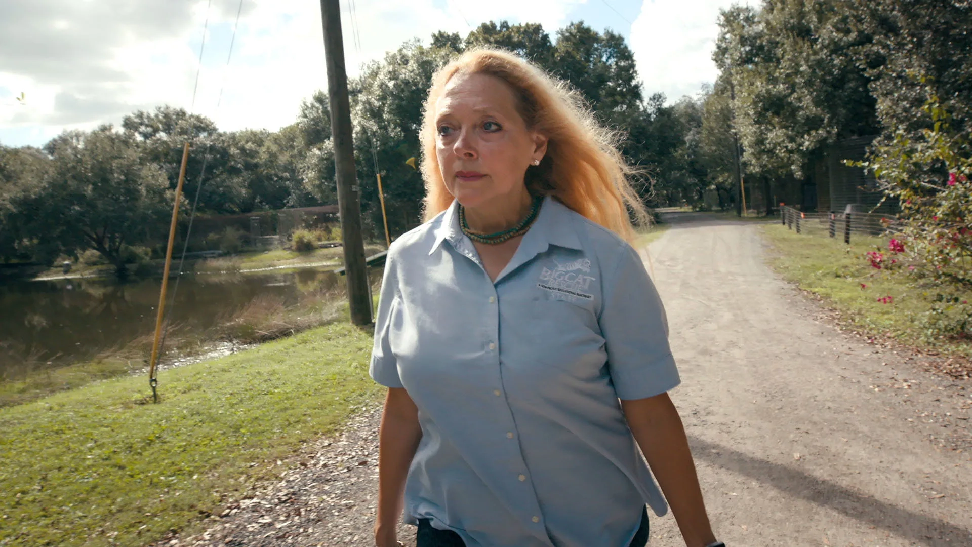 Carole Baskin in Tiger King (2020)