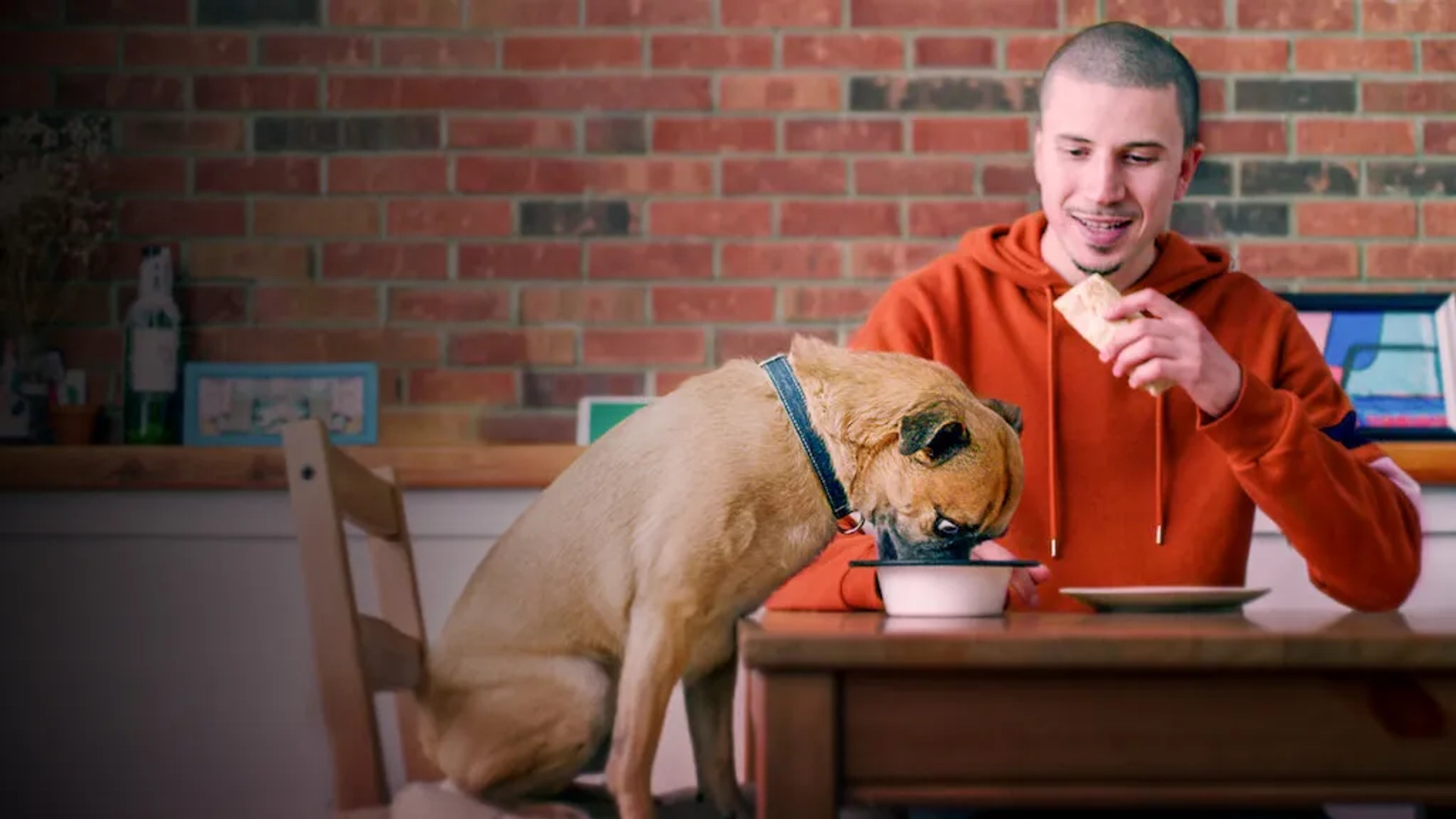 سریال این برونو است (It's Bruno! 2019)