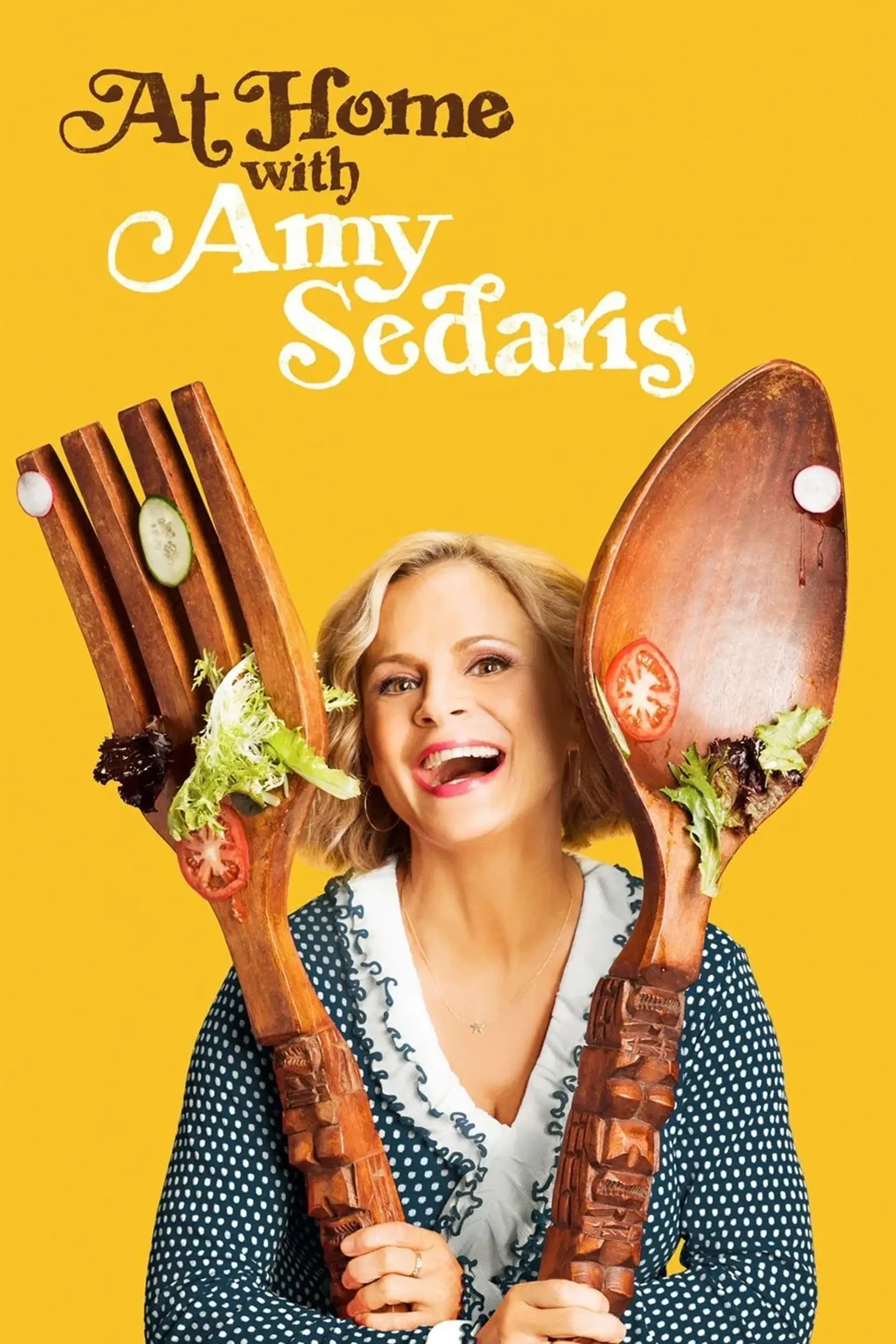 سریال در خانه با امی سداریس (At Home with Amy Sedaris 2017)