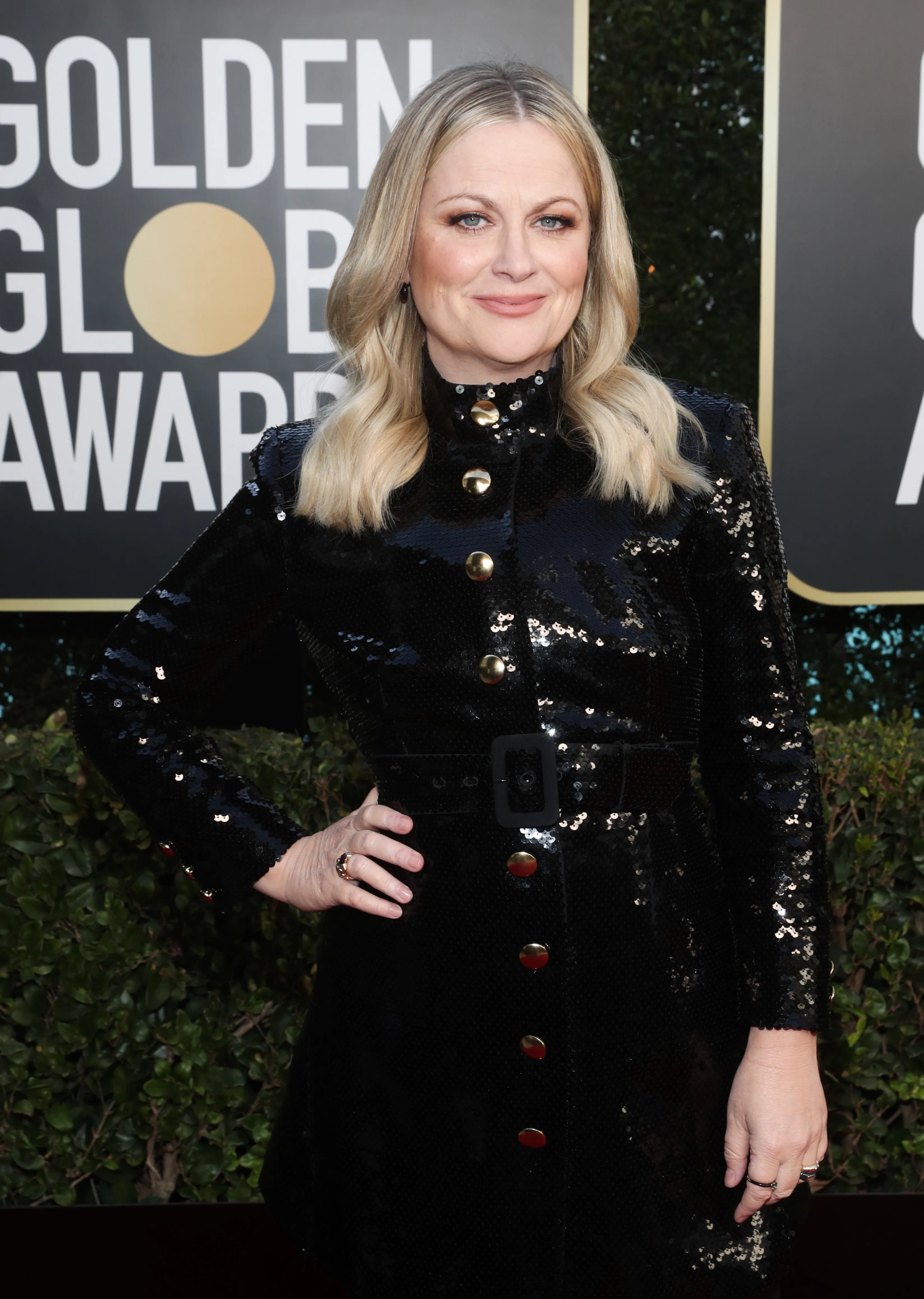 Amy Poehler at an event for 2021 Golden Globe Awards (2021)